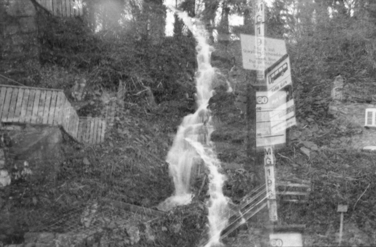 35mm Photography