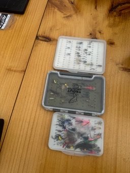 C0BD1E35-9D0E-43DF-8745-E95B16B9C04D_4_5005_c.jpeg