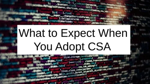What to Expect When You Adopt CSA