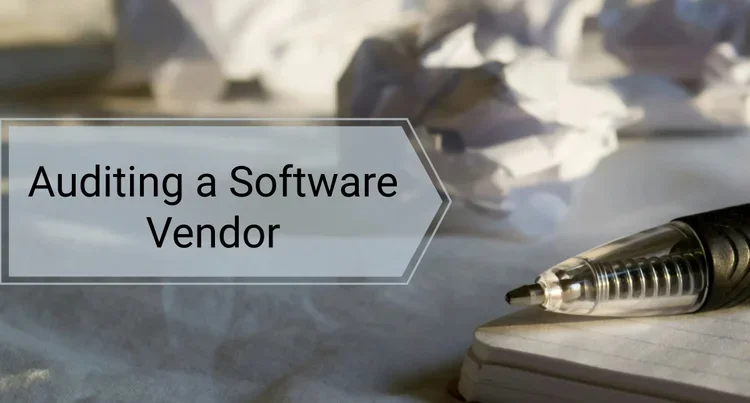 Auditing a Software Vendor