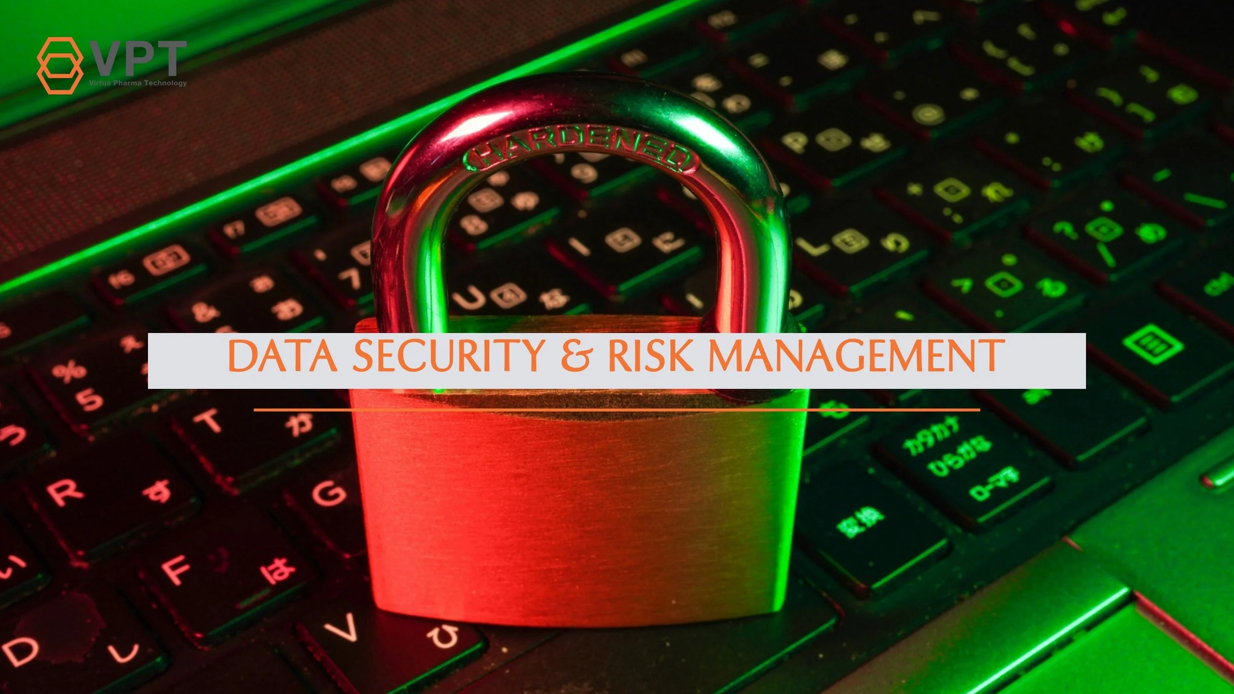 Data Security & Risk Management