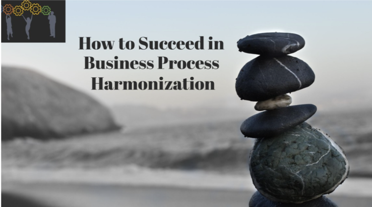 How to Succeed in Business Process Harmonization