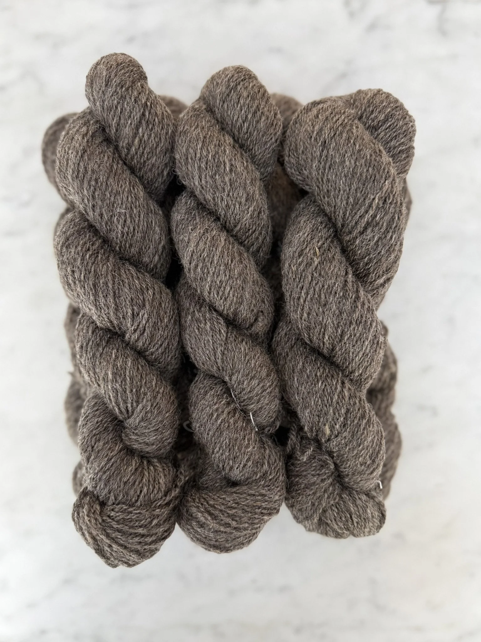 Izzy - Sport weight, 3-ply, 200 yds, Natural Brown, Romney Yarn