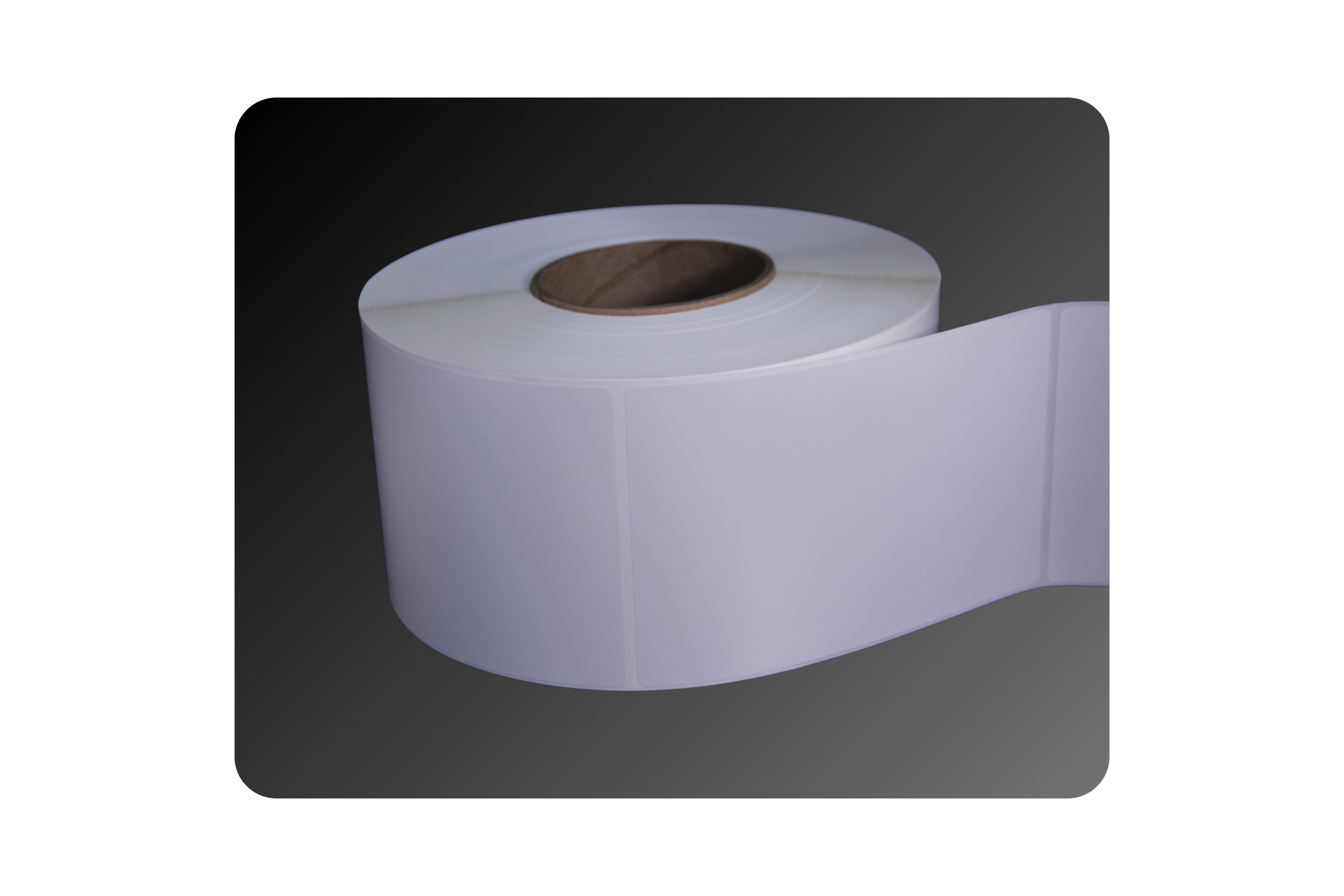 4_ x 6_ Gloss Polyester Labels (2).png