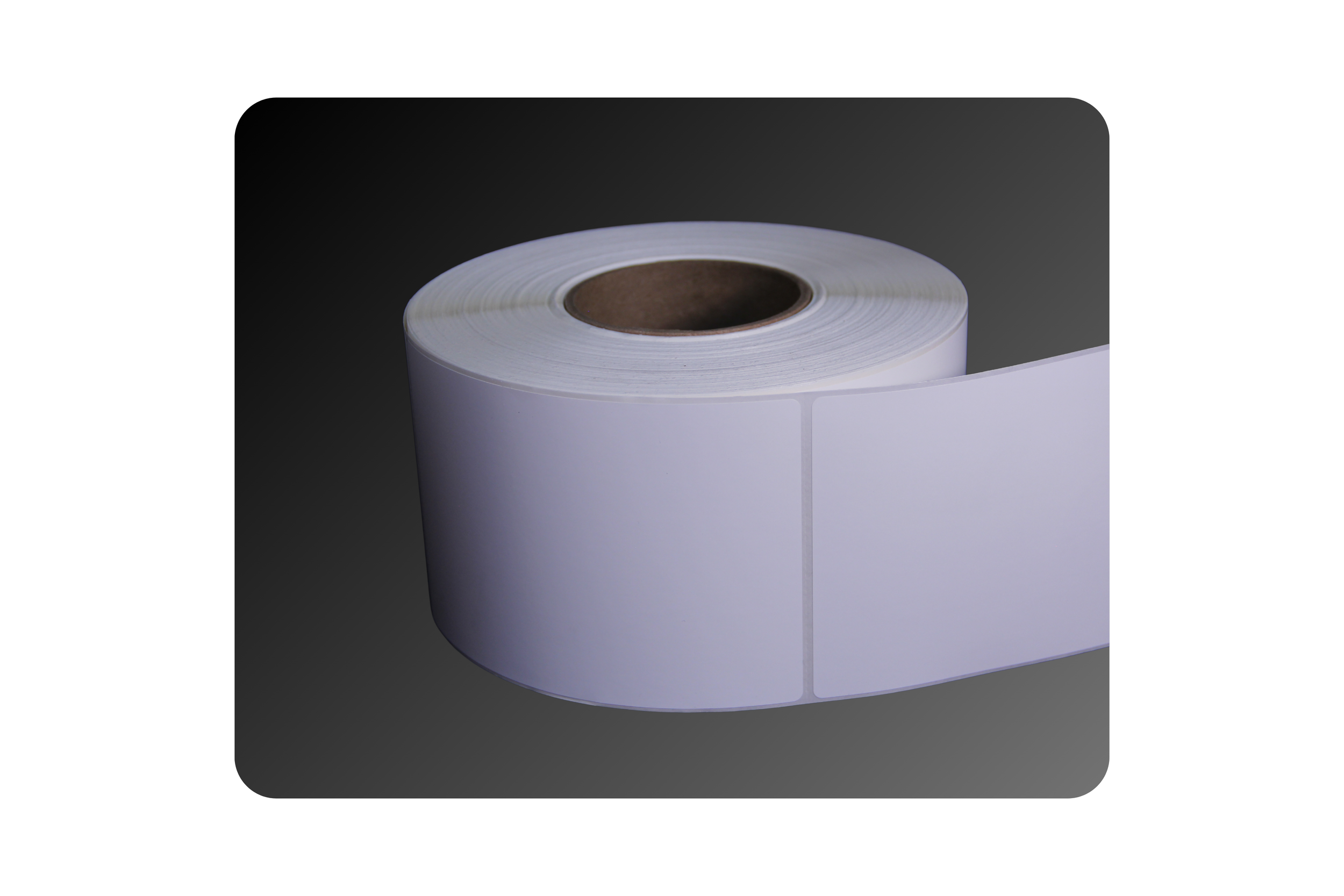 All The Labels! Thermal, RFID, Removable, Laser, Tags & More!