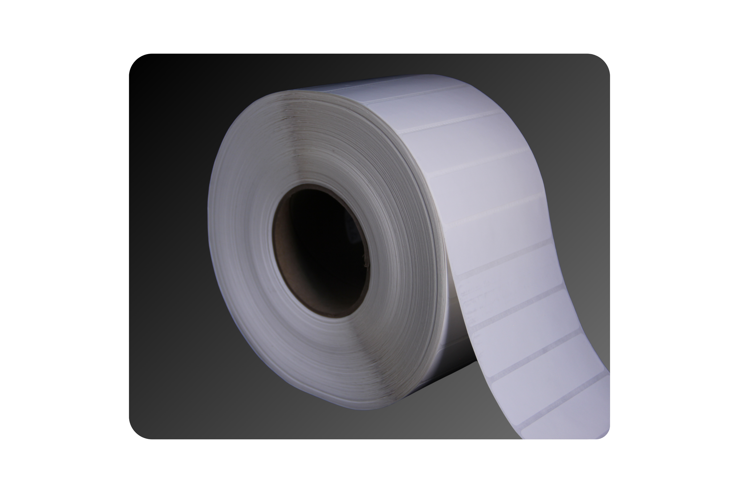 4_ x 1_ Gloss Polyester Labels.png