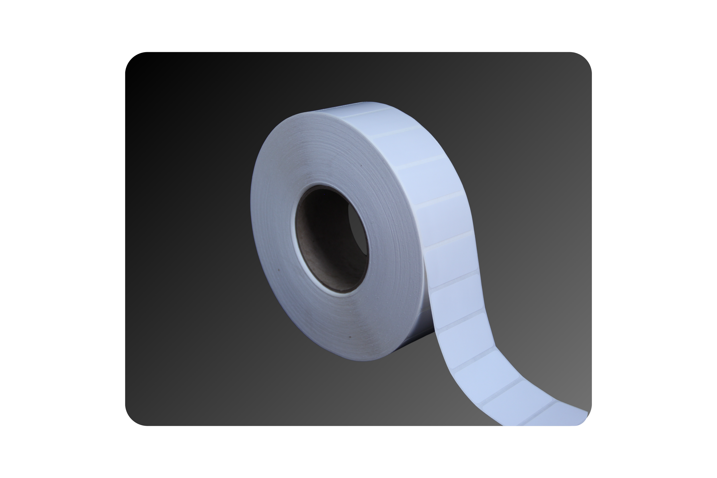 2_ x 1_ Gloss Polyester Labels.png