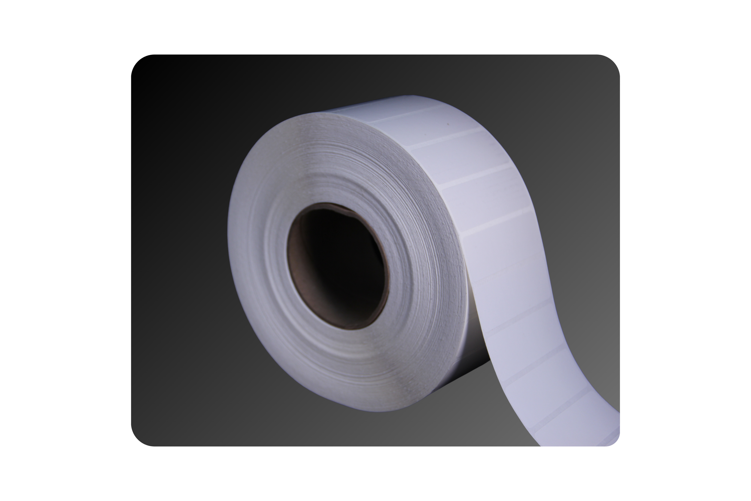 3_ x 1_ Gloss Polyester Labels.png