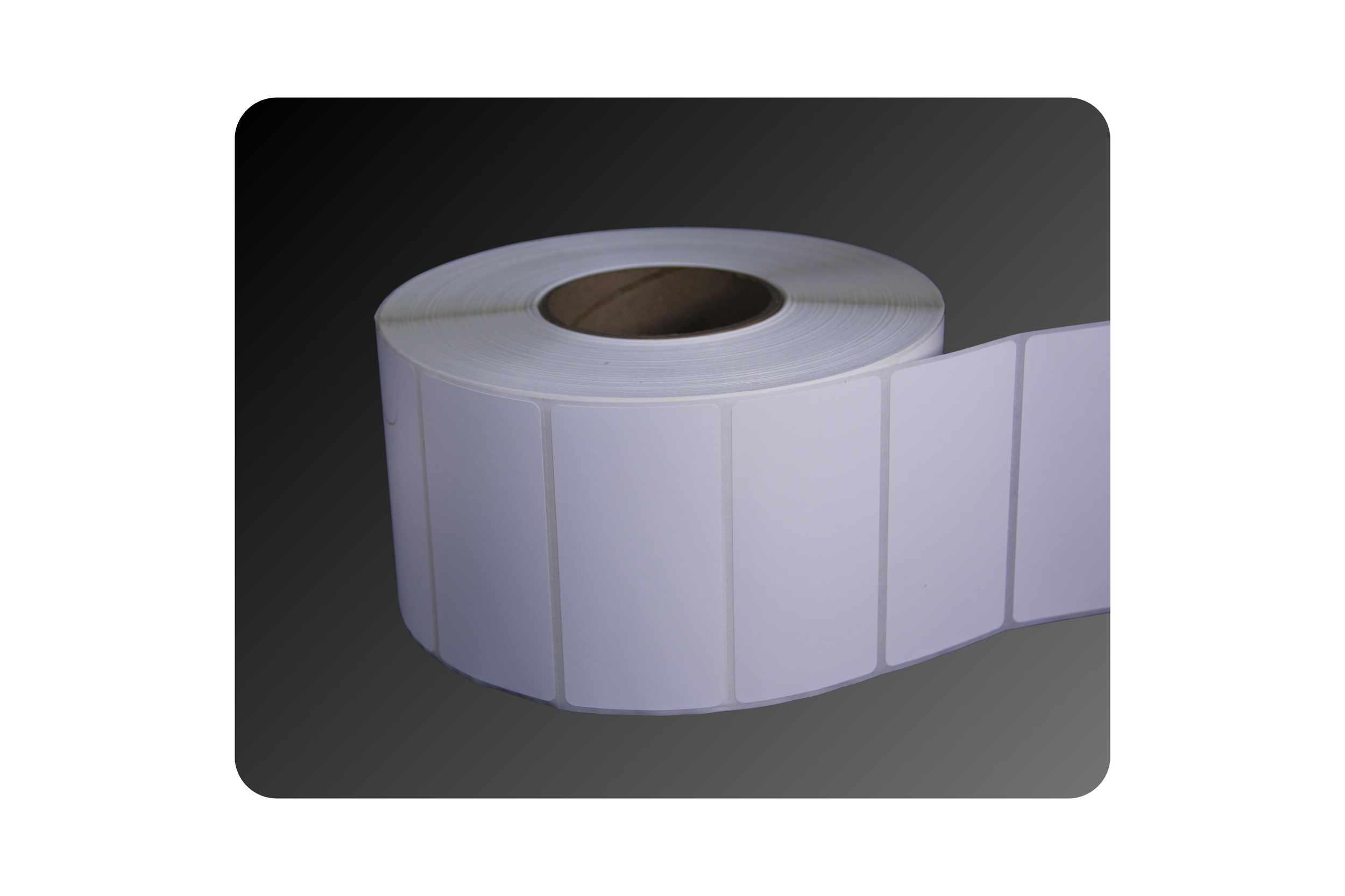 4_ x 2_ Matte Polypropylene Labels (2).png