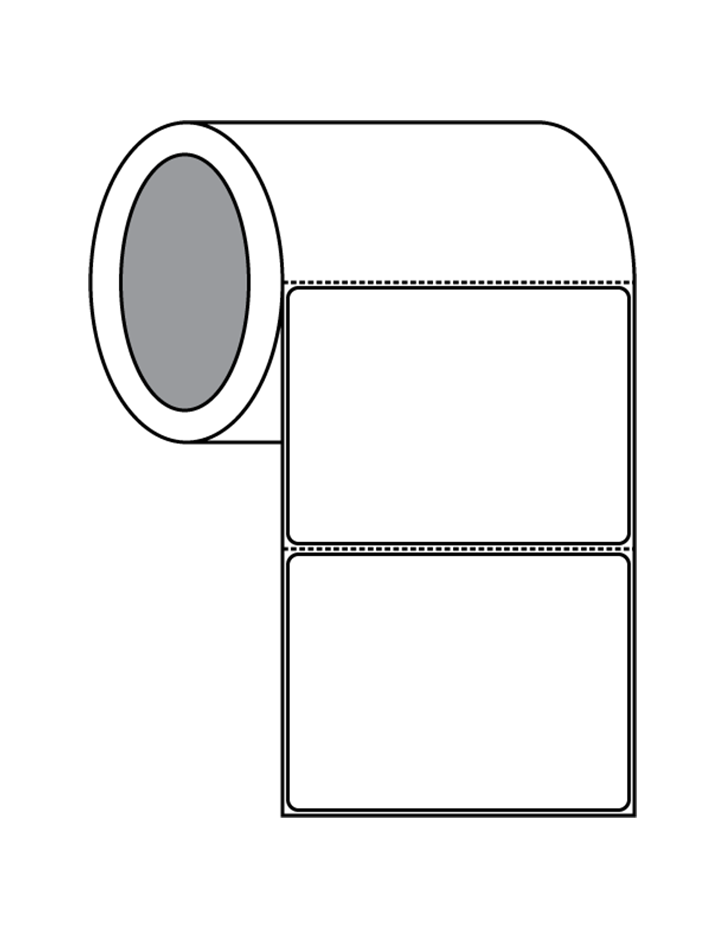 SLF4x319003DT_Roll.png