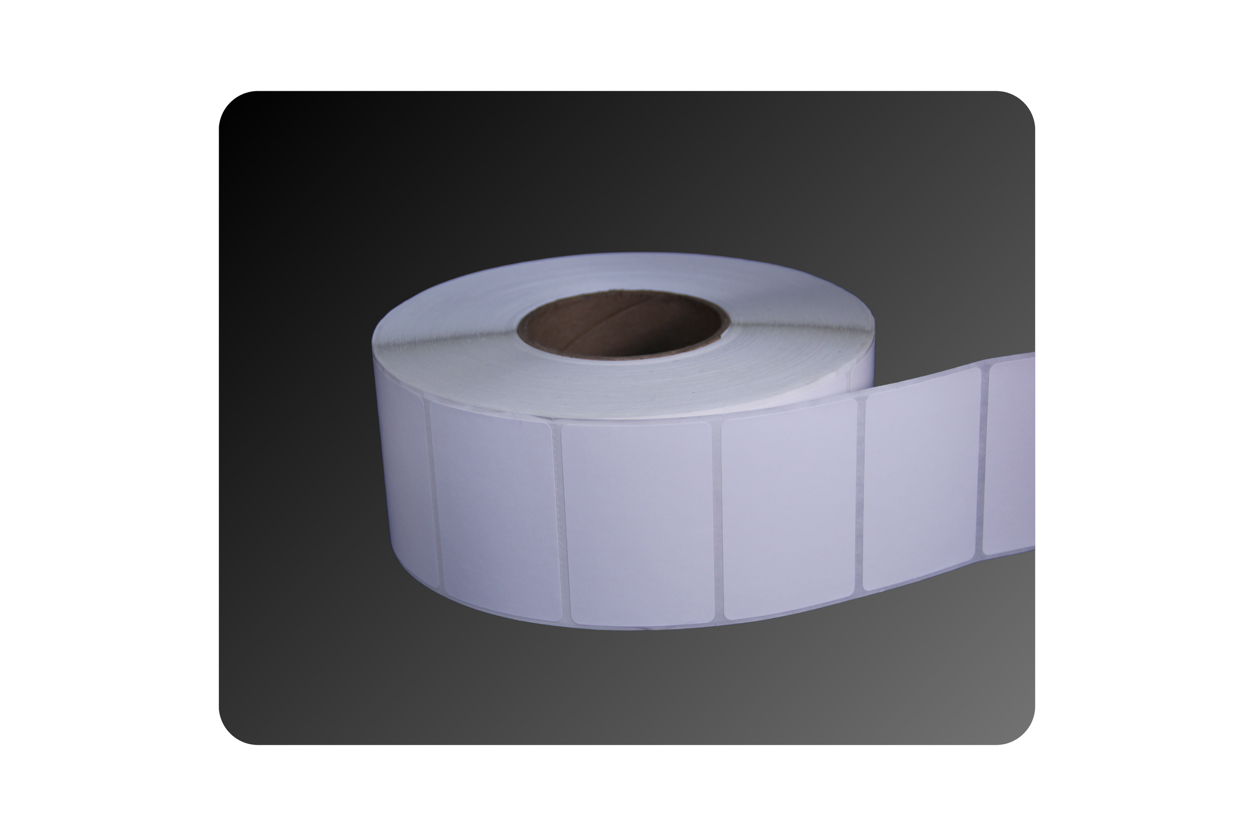 3_ x 2_ Direct Thermal Paper Labels (2).png
