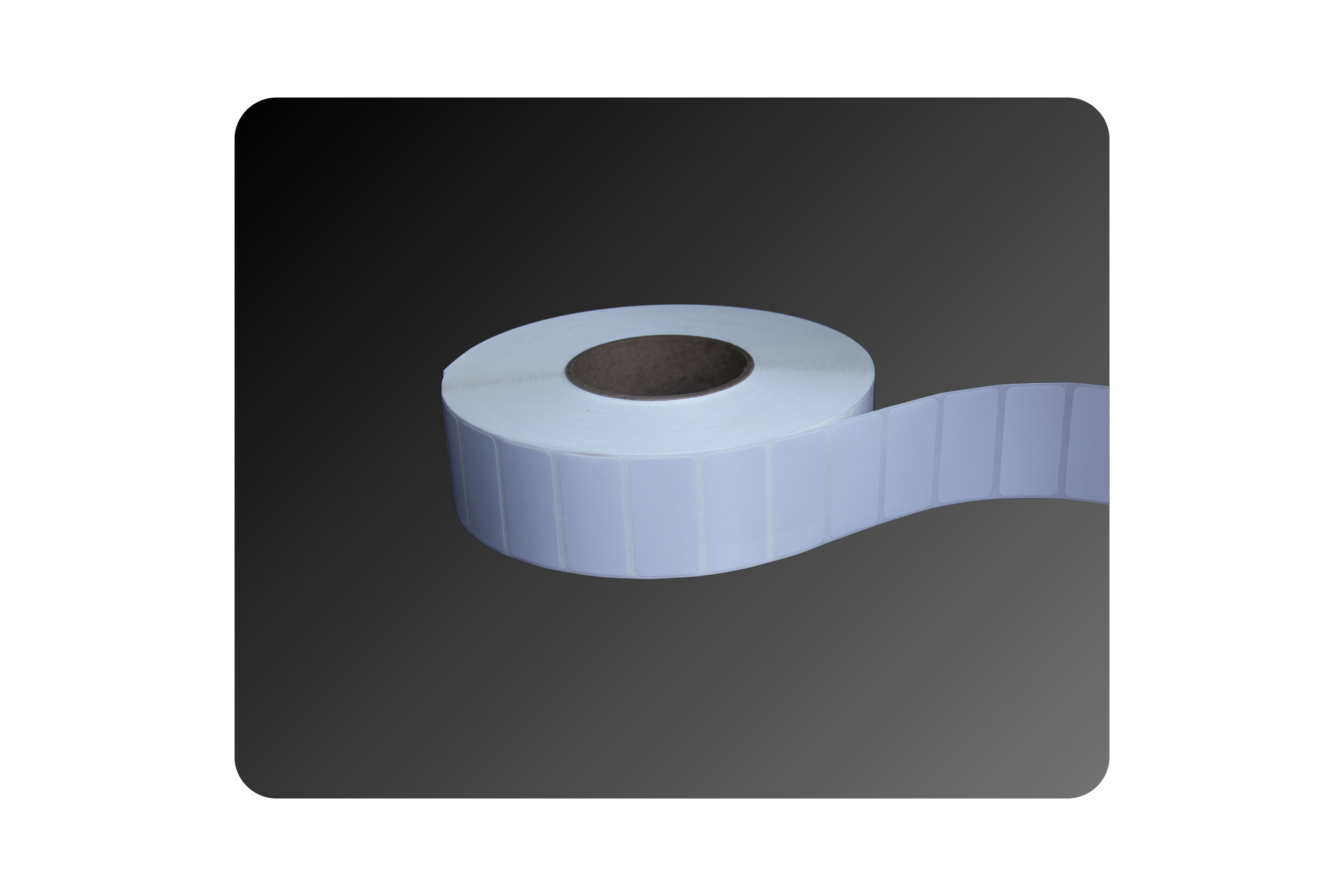 2_ x 1_ Gloss Polyester Labels (2).png