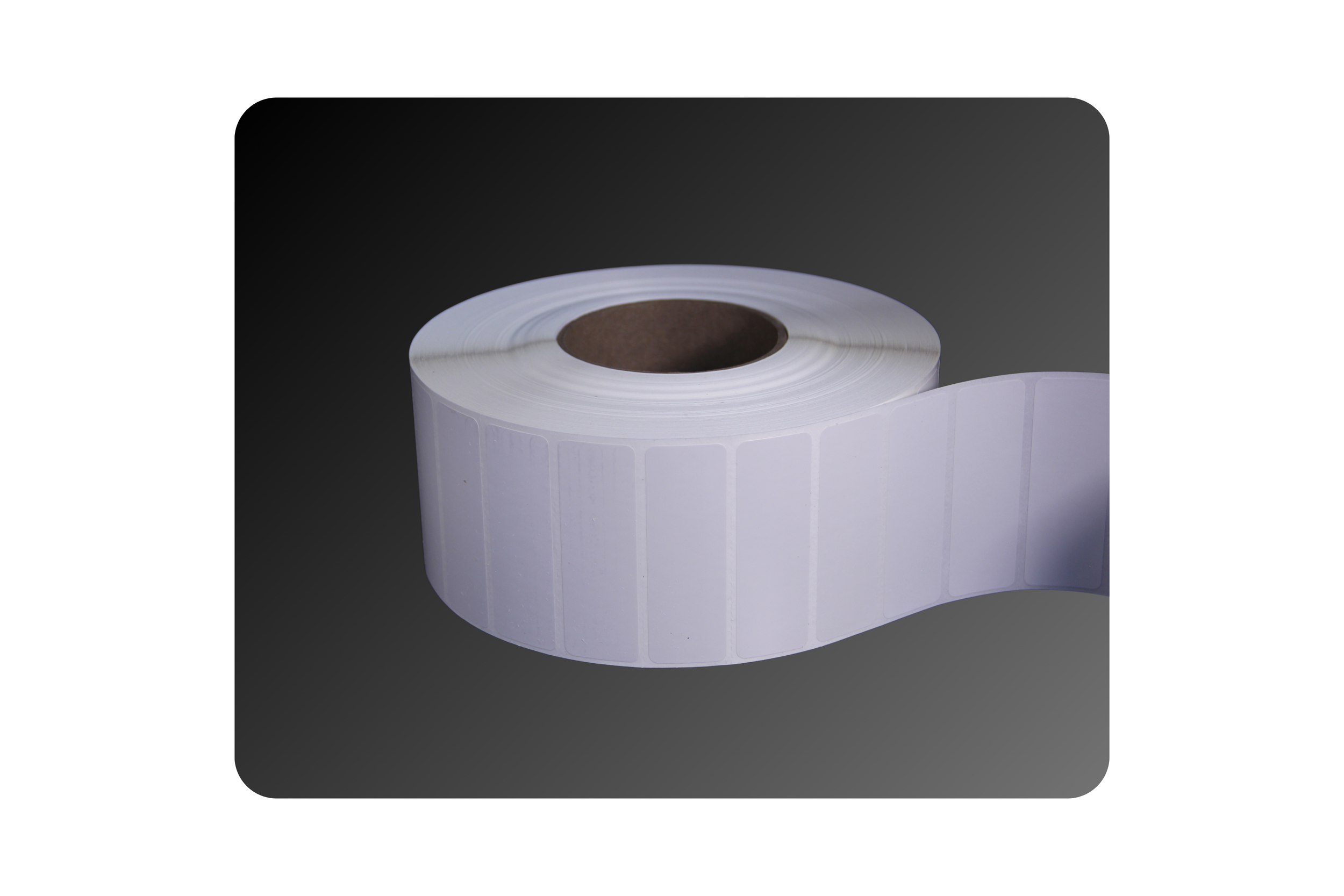 3_ x 1_ Gloss Polyester Labels (2).png