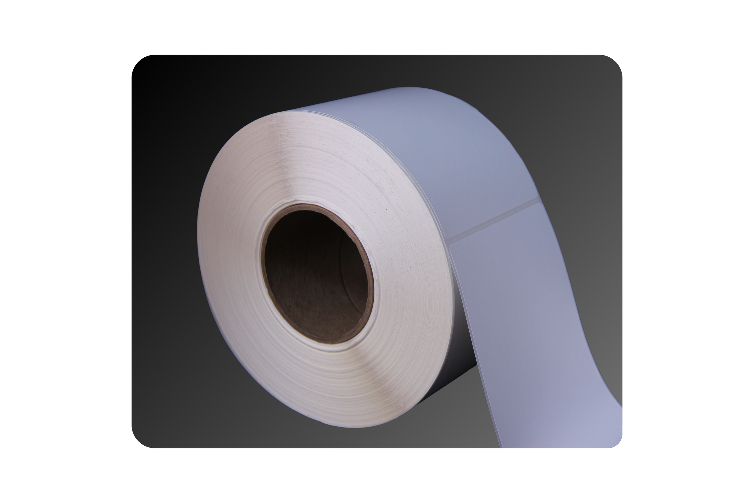 4_ x 6_ Matte Polypropylene Labels.png