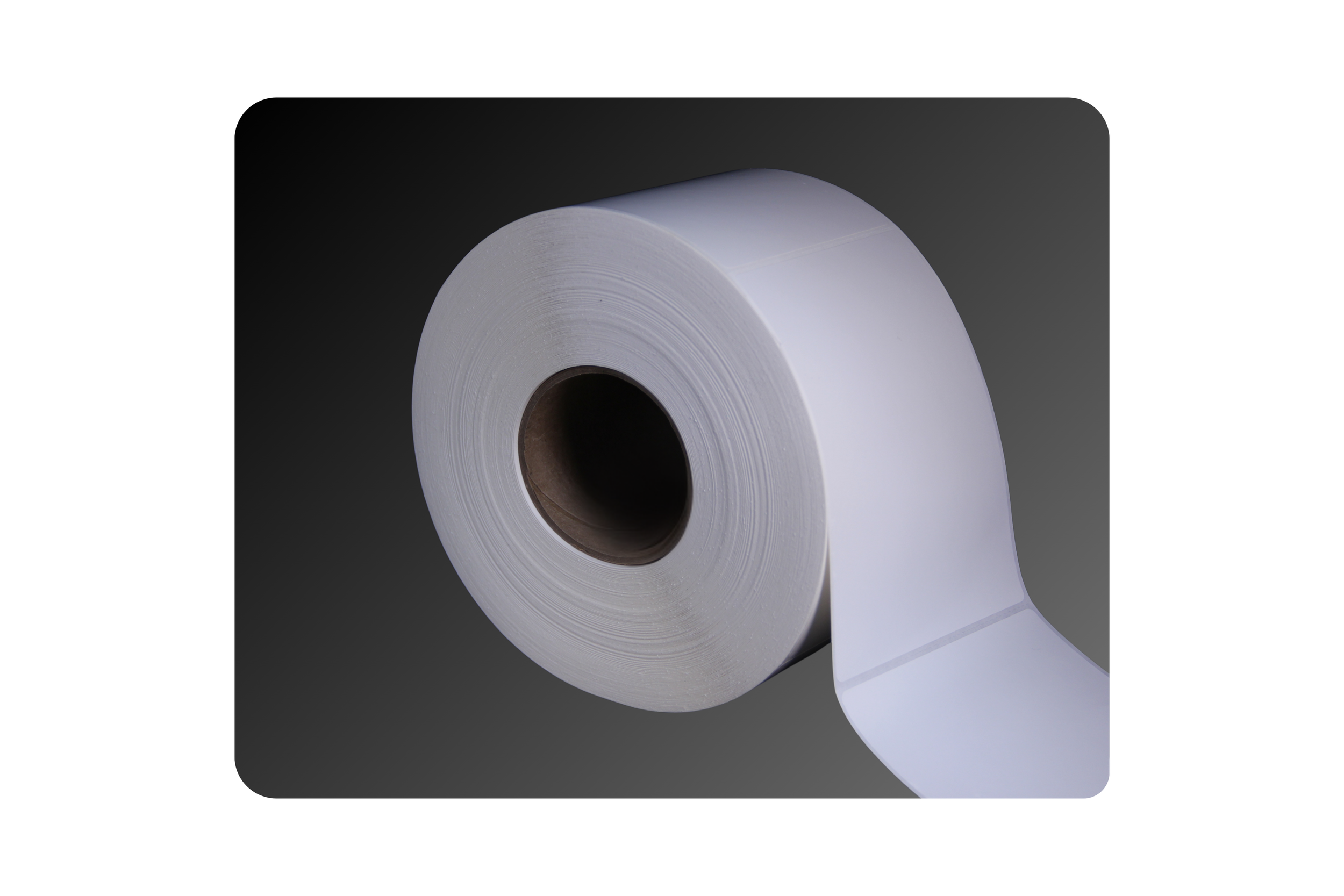 4_ x 6_ Gloss Polyester Labels.png