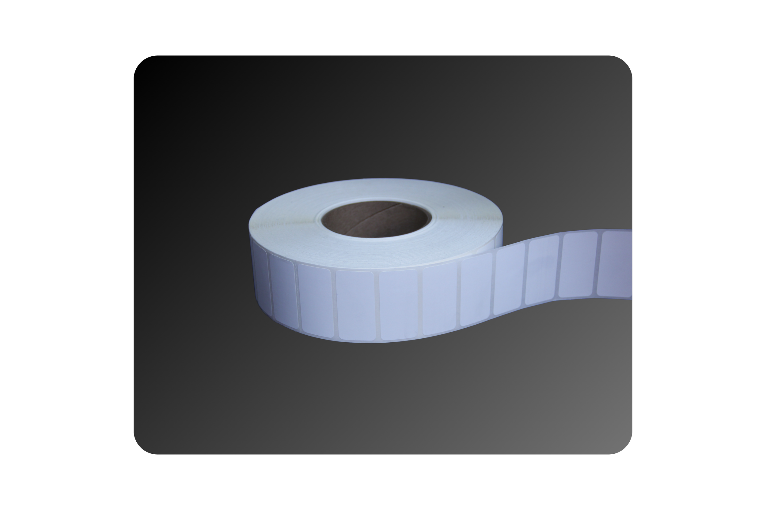 2_ x 1_ Matte Polypropylene Labels (2).png