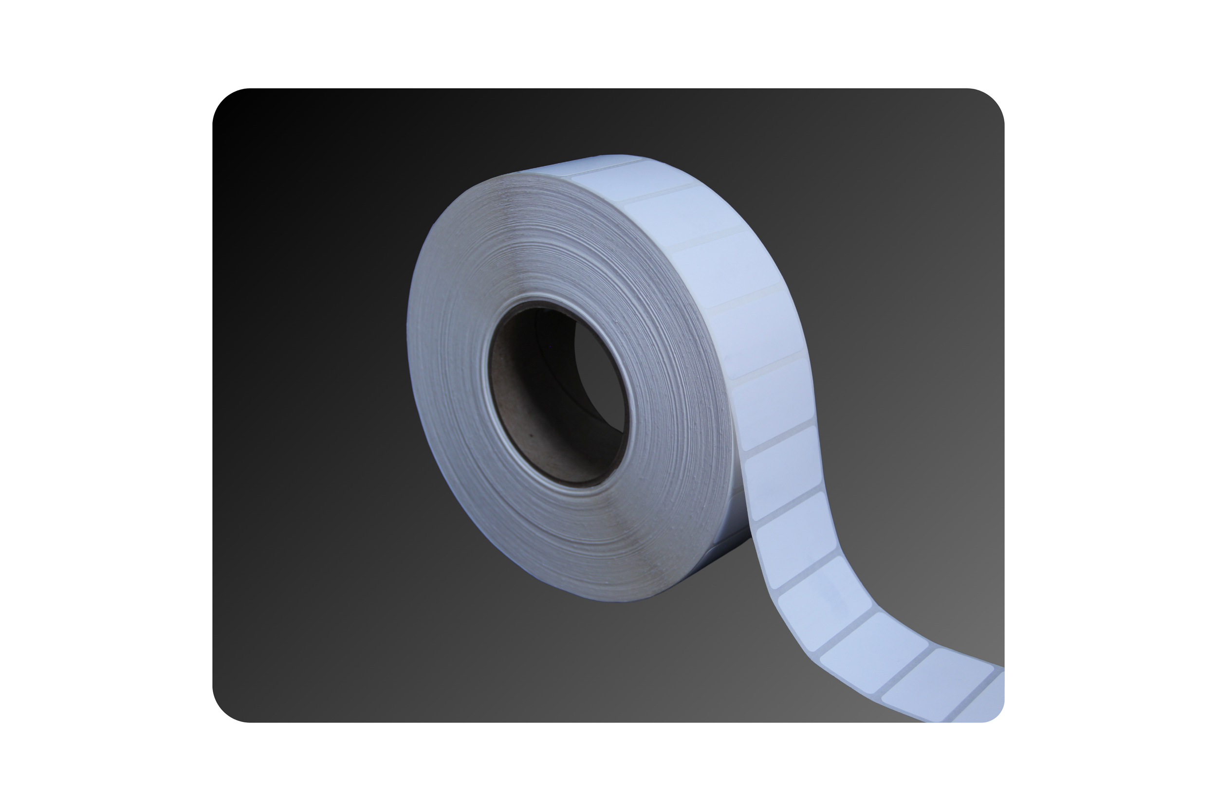 2_ x 1_ Matte Polypropylene Labels.png