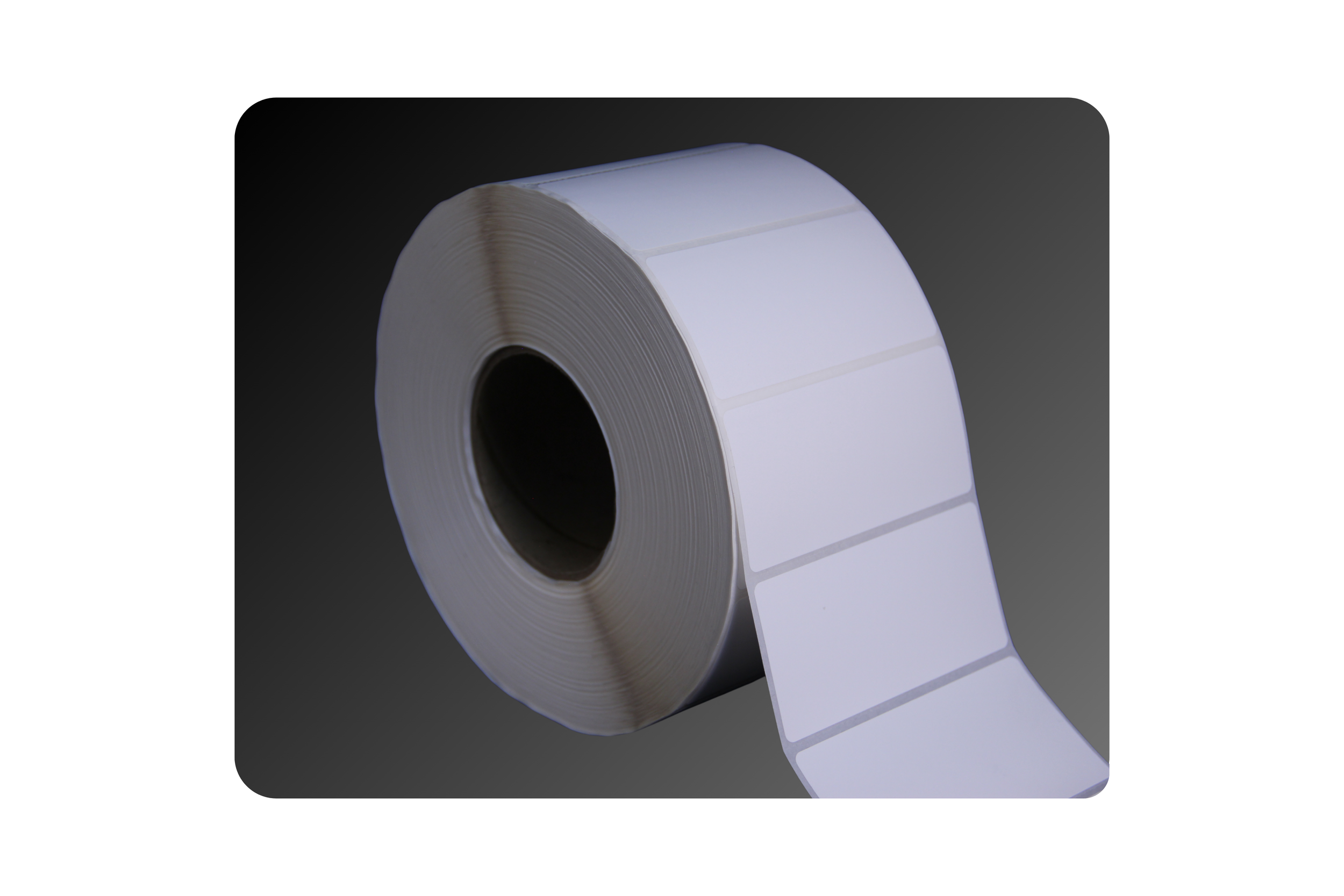 4_ x 2_ Matte Polypropylene Labels.png