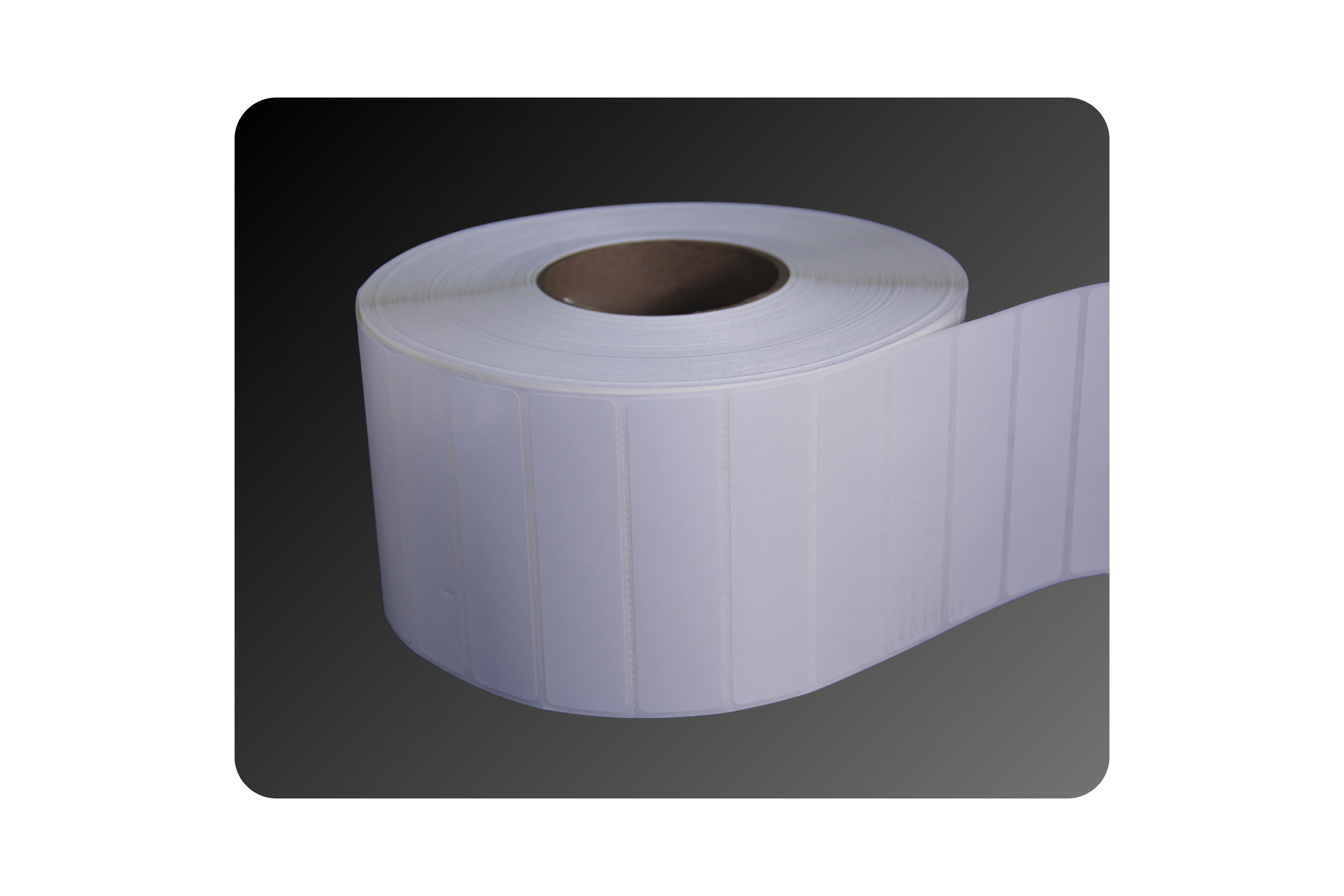 4_ x 1_ Gloss Polyester Labels (2).png