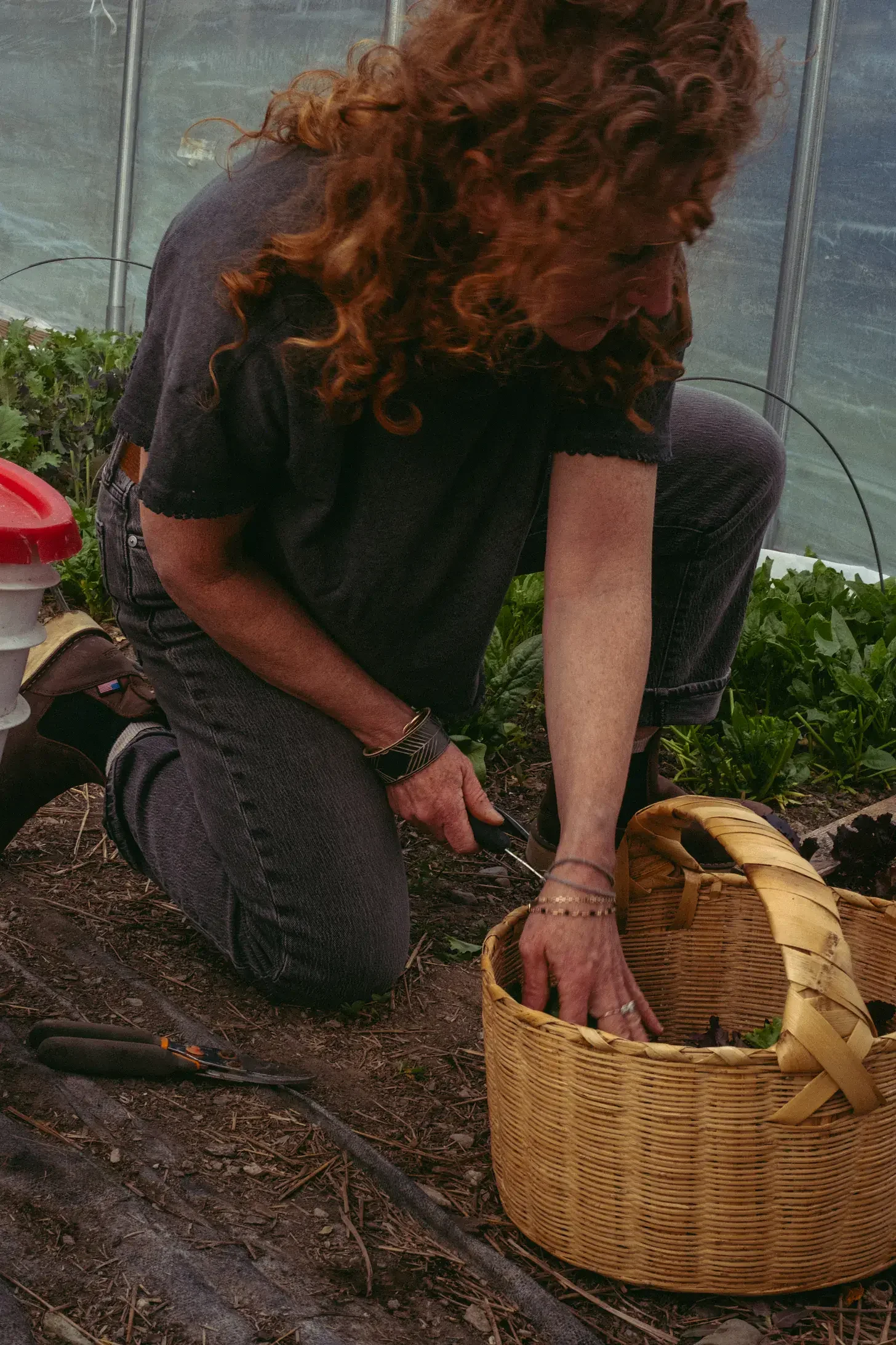 jill-in-greenhouse_opt.webp