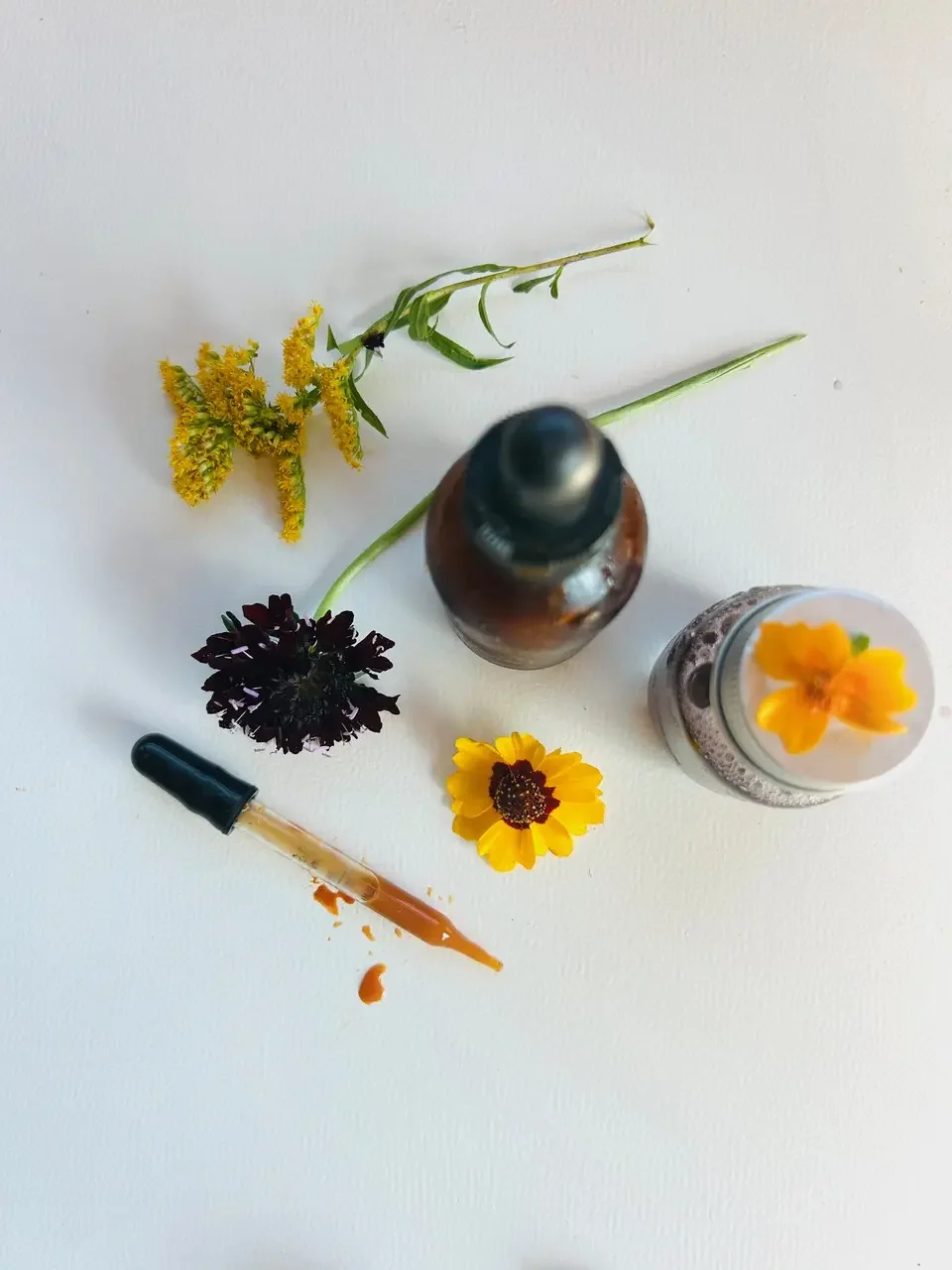 Botanical Inks - Saturday, September 19, 2026, 10-4