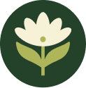 Mom and child in supportive family therapy session at Bloomwell Counseling