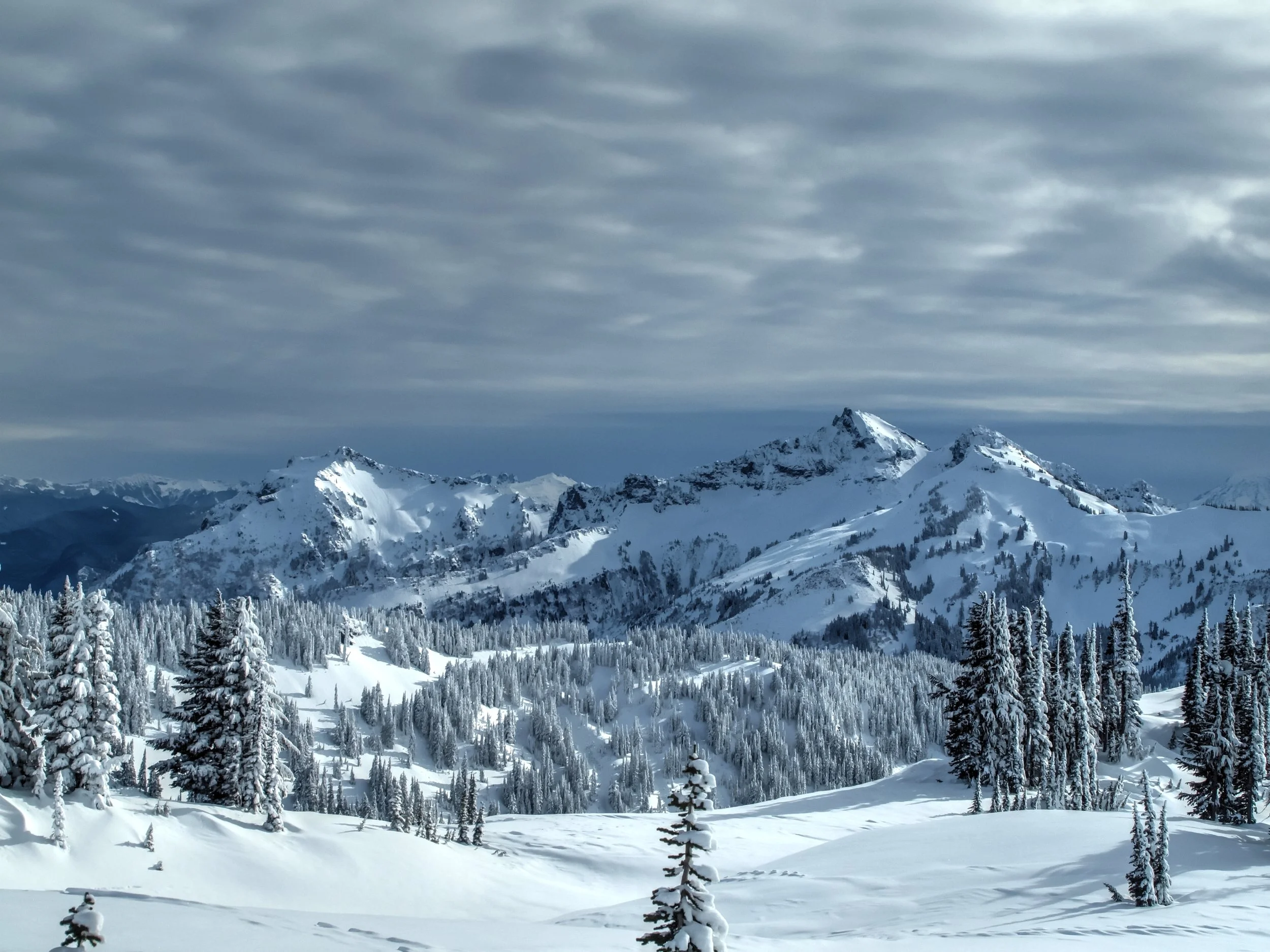 Snow-covered mountains with evergreen trees in the foreground and a cloudy sky above.