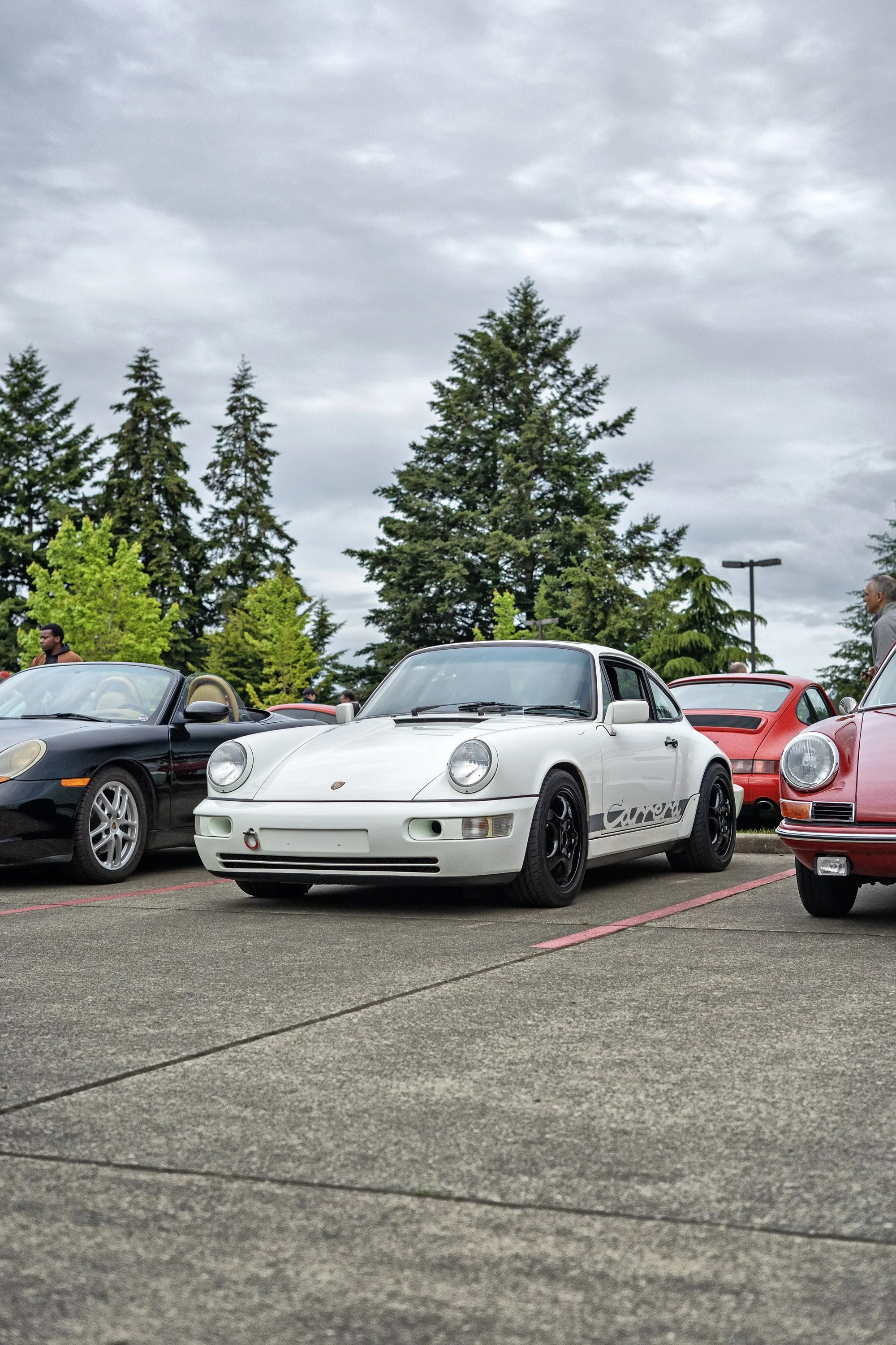 _DSC8059 copy.jpg