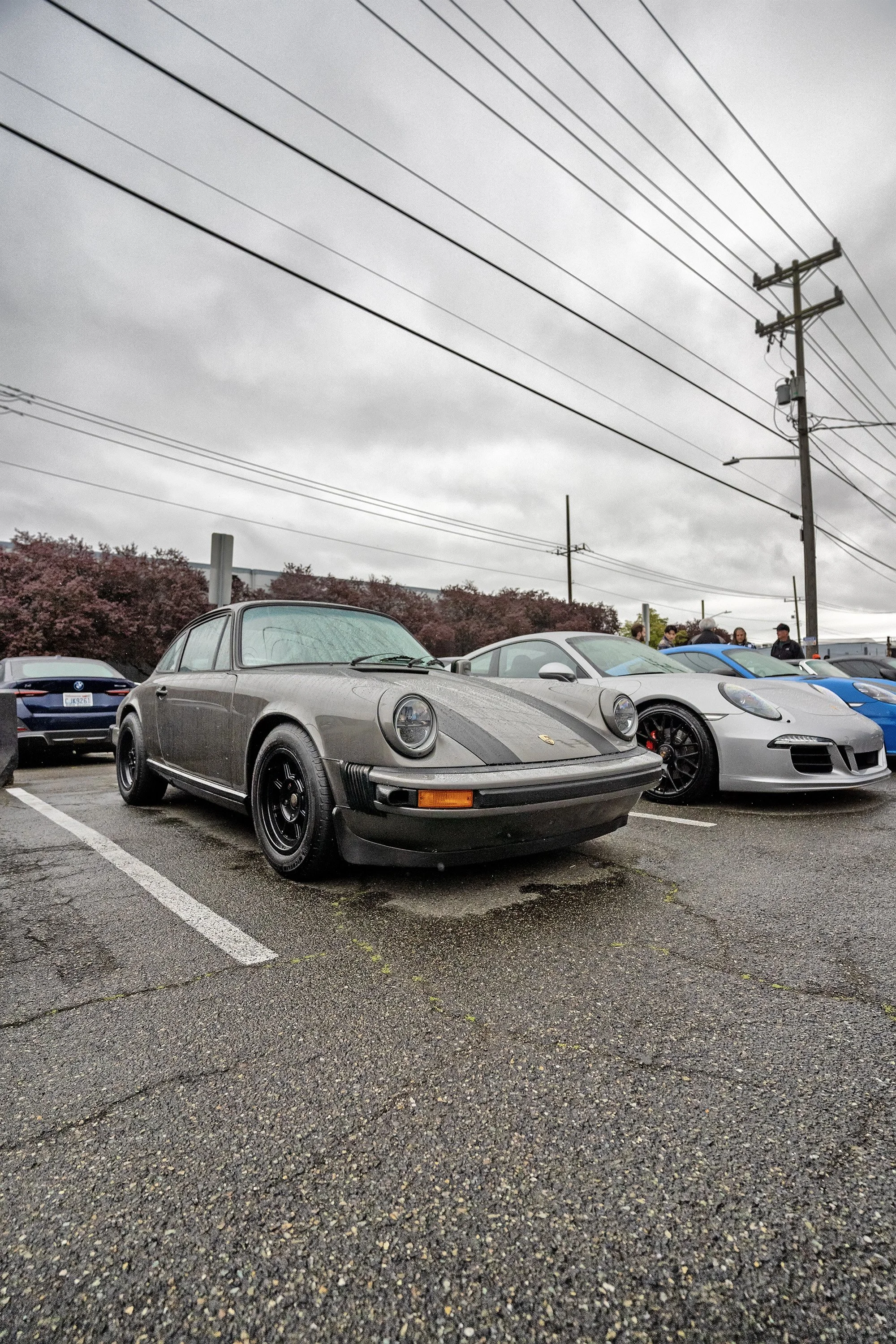 _DSC7784 copy.jpg