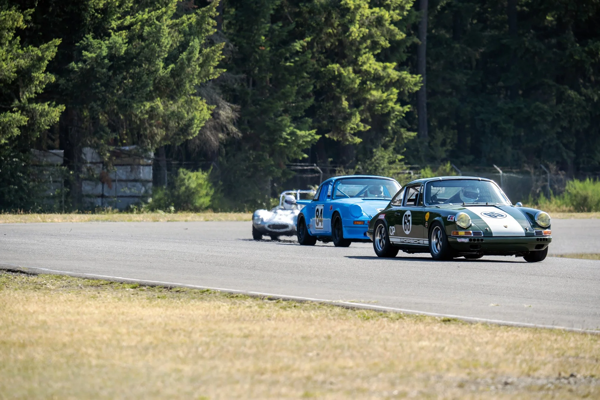 _DSC2016 copy.jpg