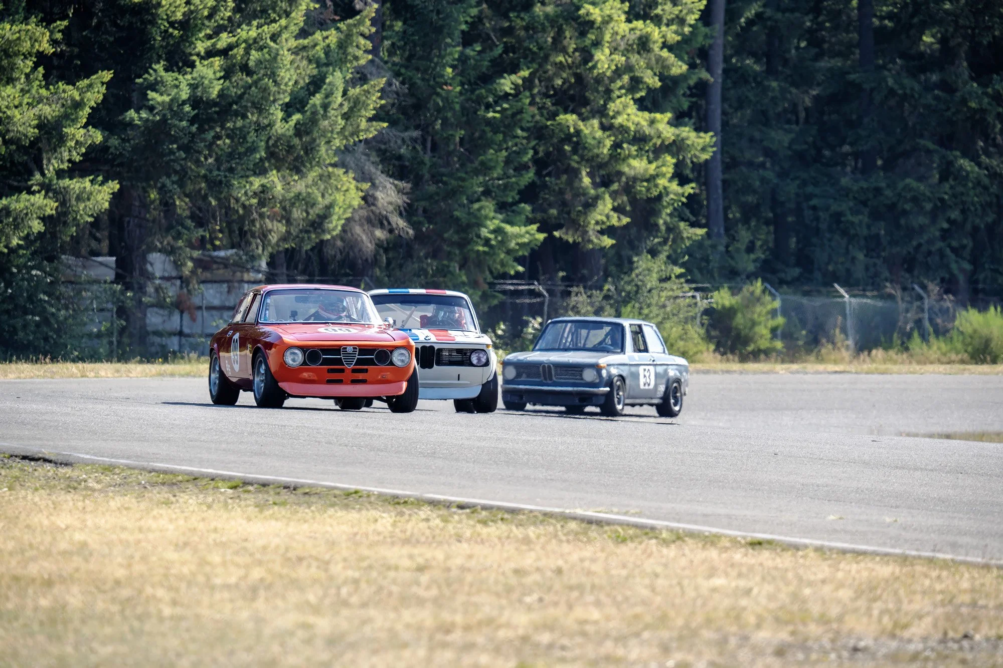_DSC2025 copy.jpg