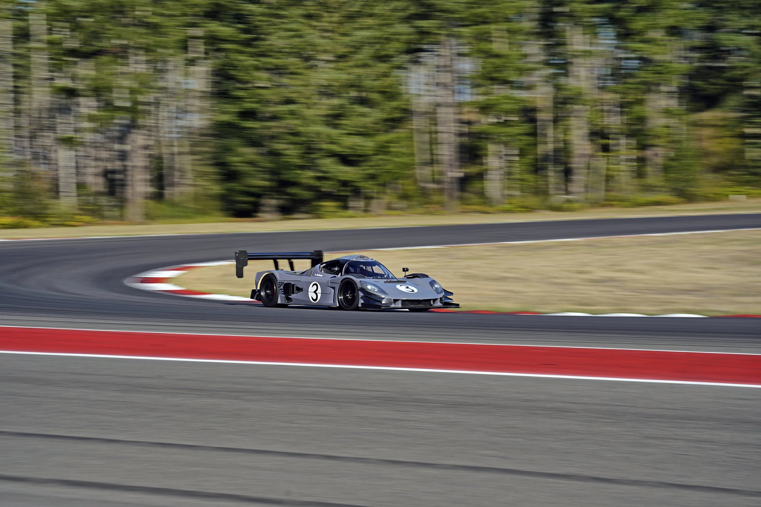 _DSC6303 copy.jpg