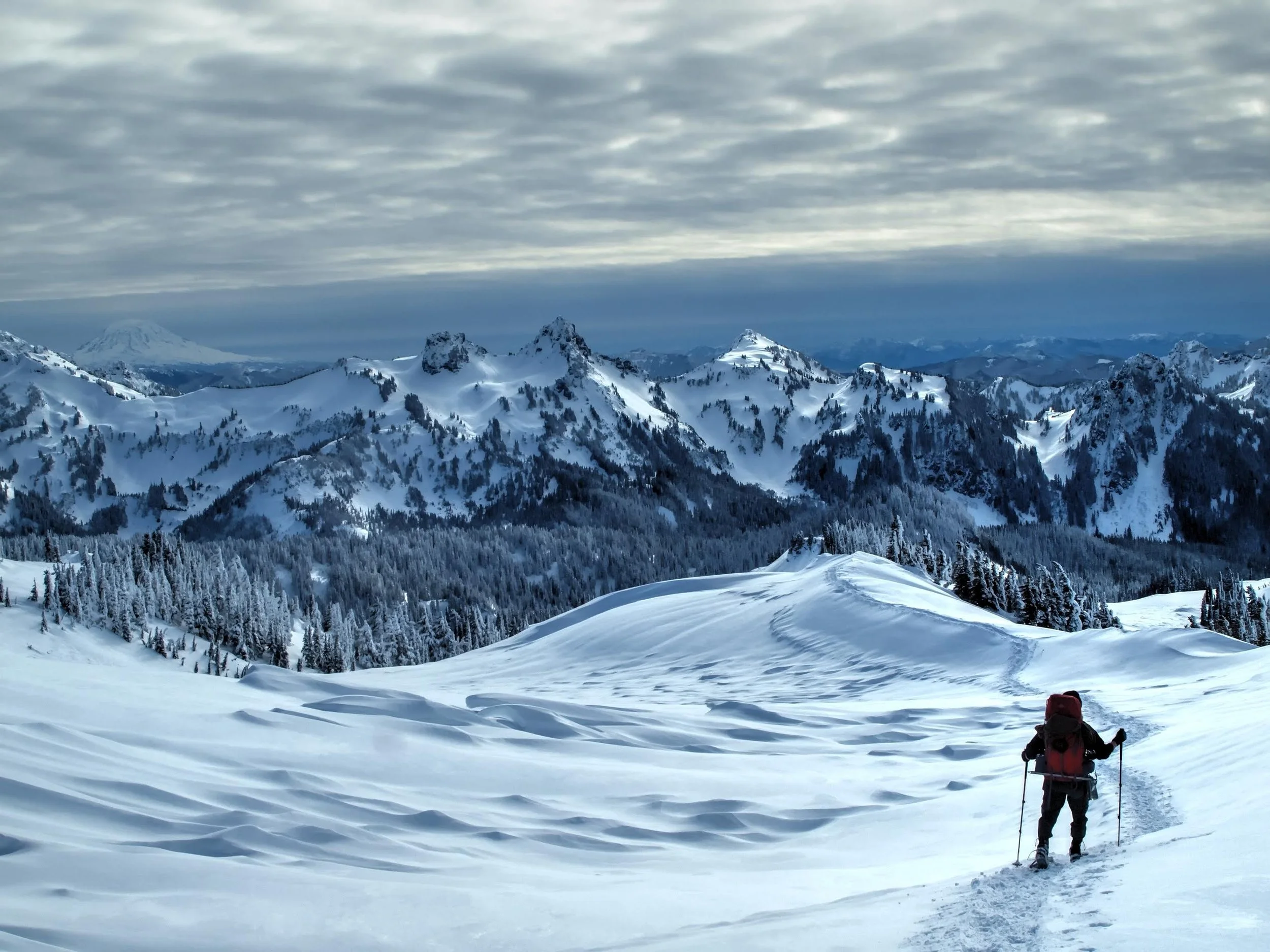 A person in winter clothing with a backpack and ski poles standing on snowy terrain overlooking snow-covered mountains and pine trees under an overcast sky.