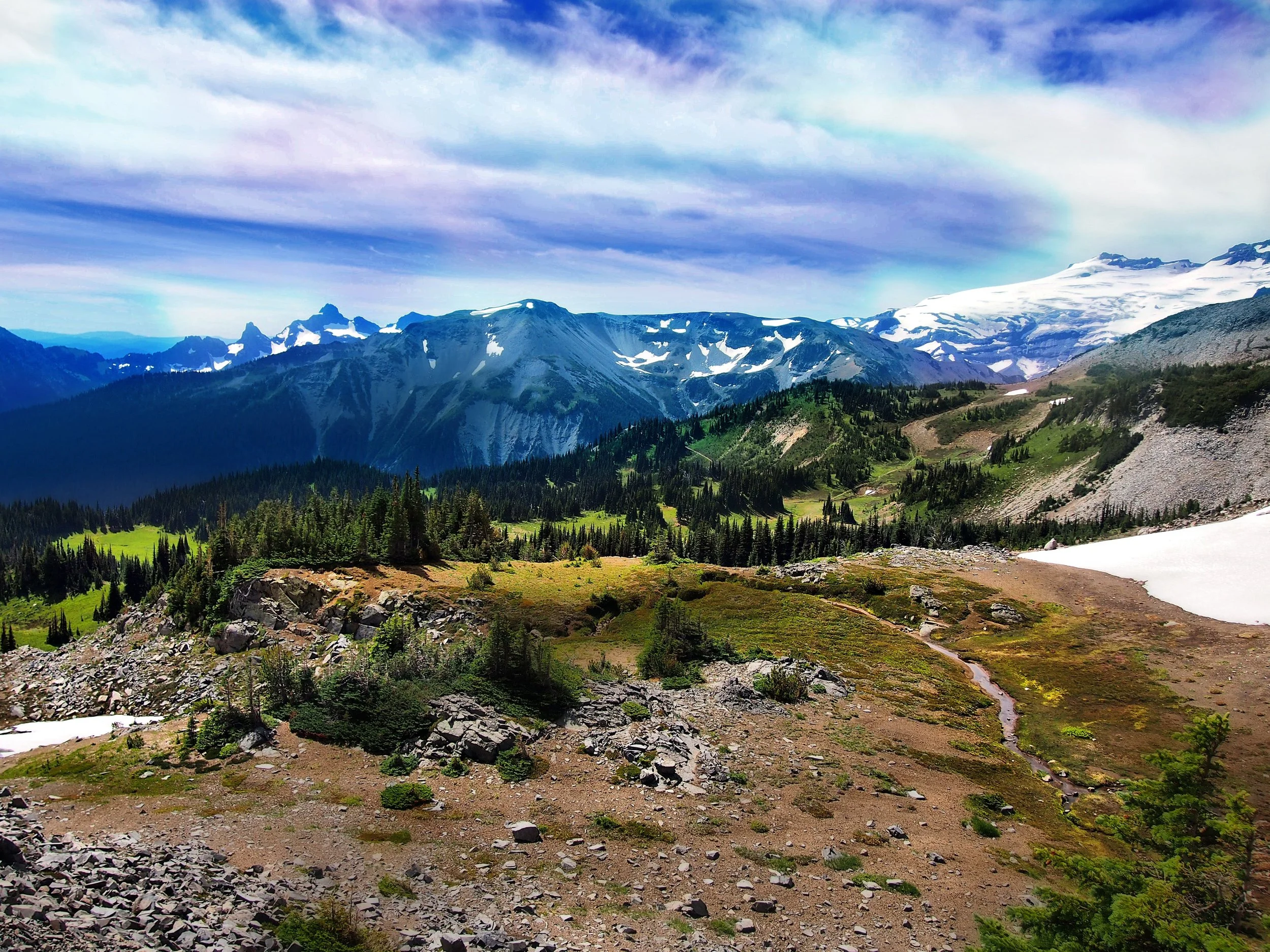 Mountain landscape with snow-capped peaks in the distance, green trees and grassy areas in the foreground, and partly cloudy blue sky.