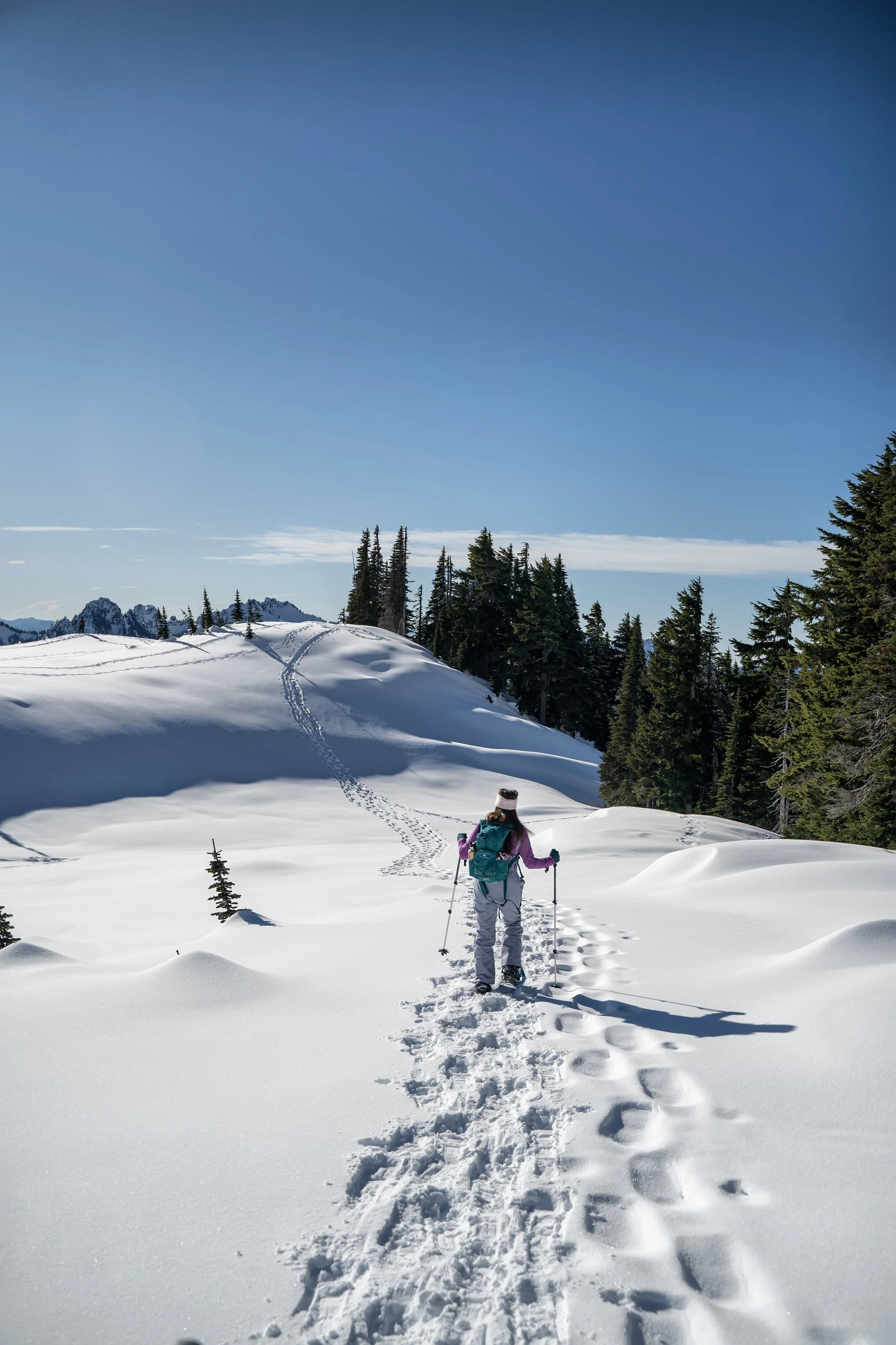 A person hiking through snow-covered terrain with ski poles, wearing winter gear, in a mountainous area with evergreen trees and distant mountain peaks under a clear blue sky.