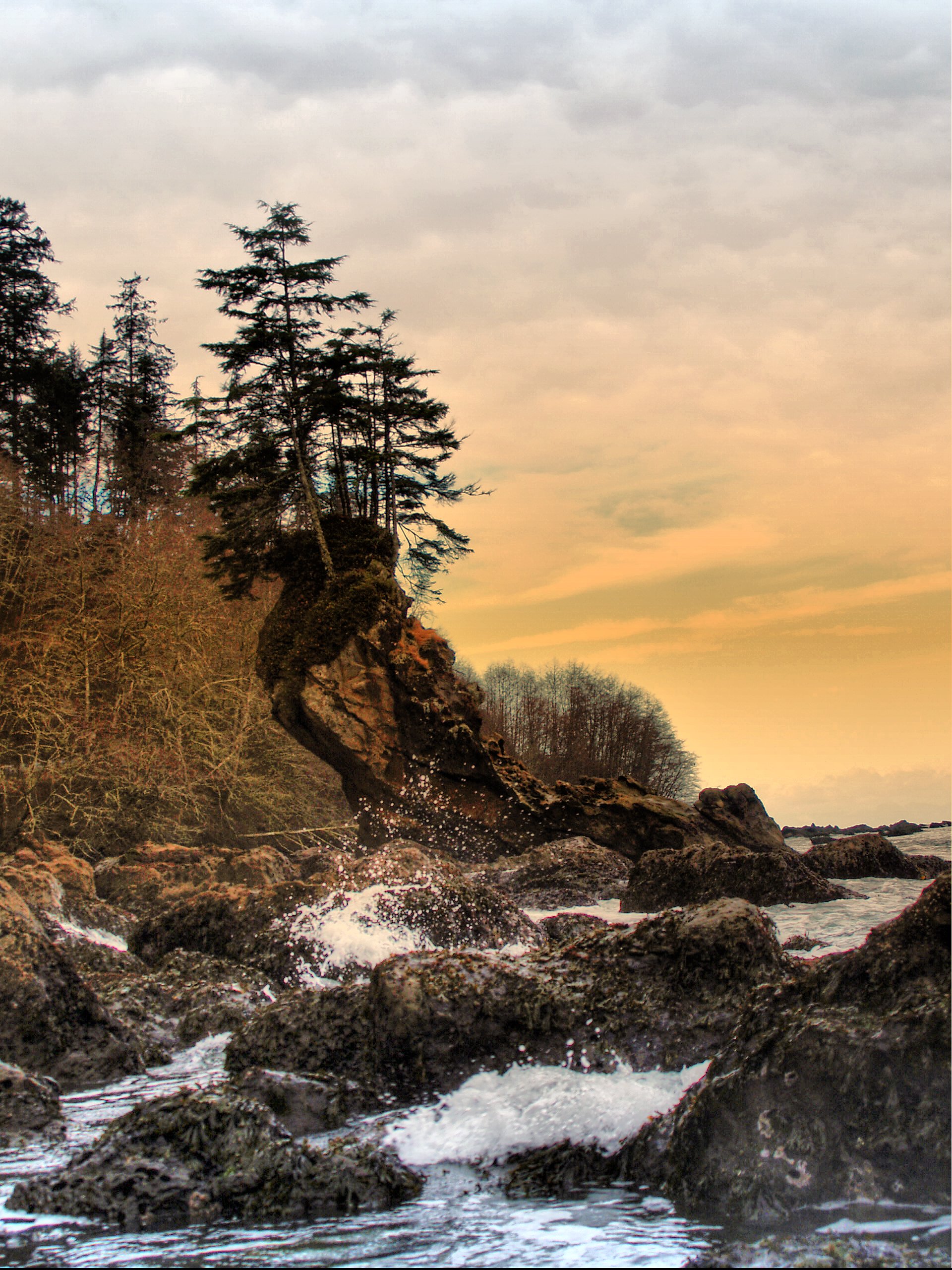 Clallum Bay, Winter 2008