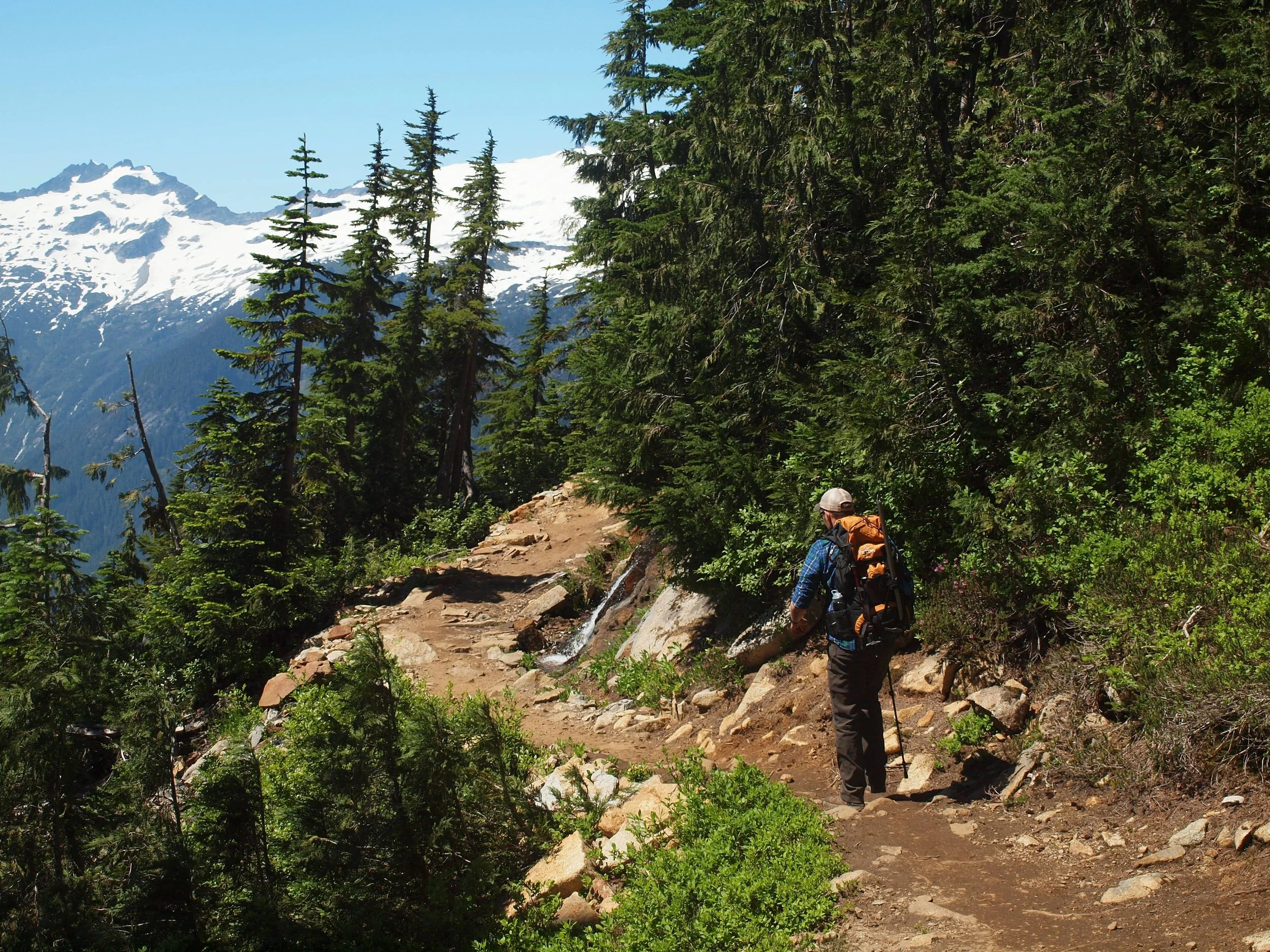 A hiker with a backpack and walking stick hikes along a rocky mountain trail surrounded by green trees, with snow-capped mountains in the background and a clear blue sky.