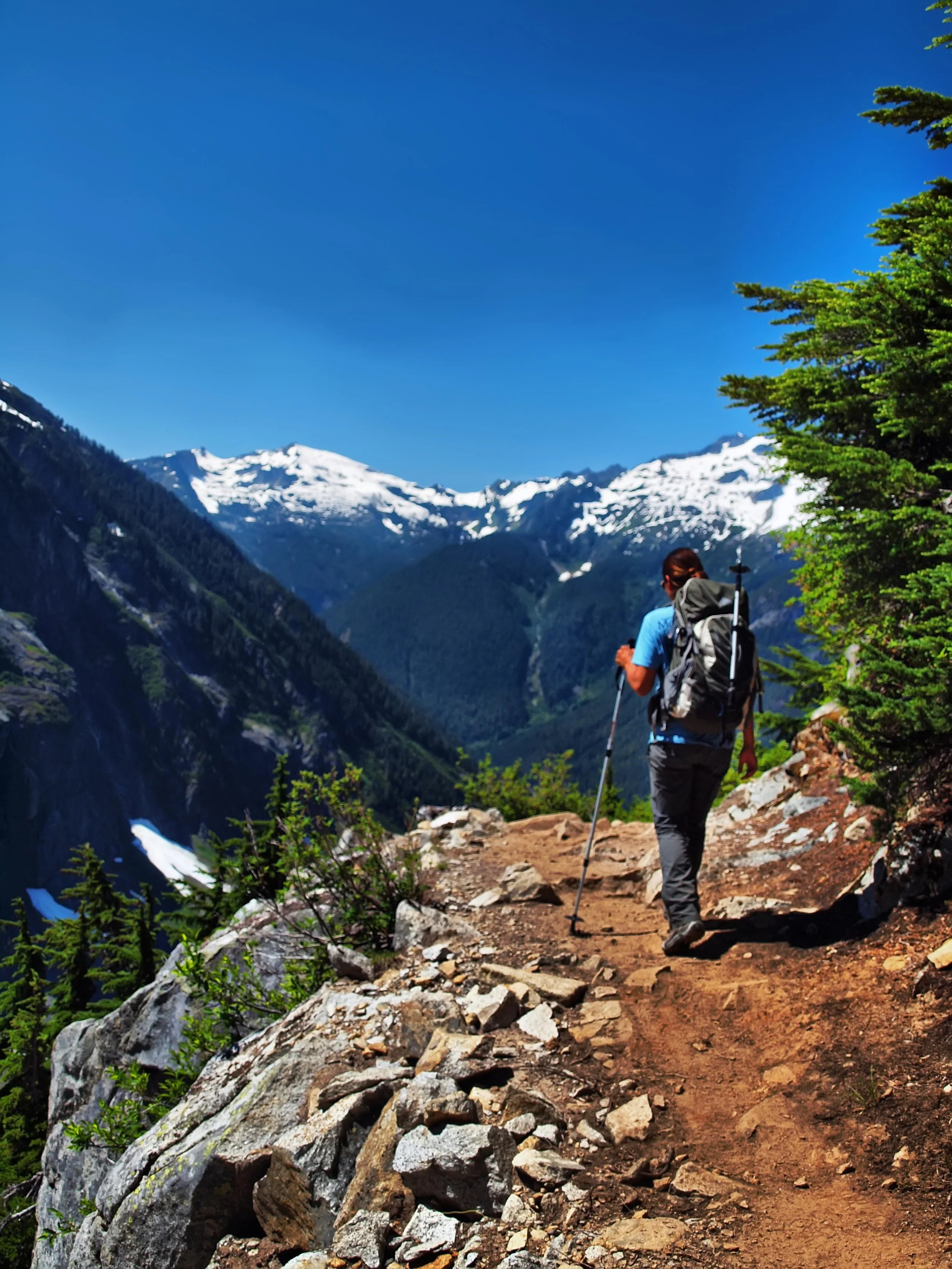 A hiker walking on a mountain trail with snow-capped peaks in the background, surrounded by green trees and a bright blue sky.