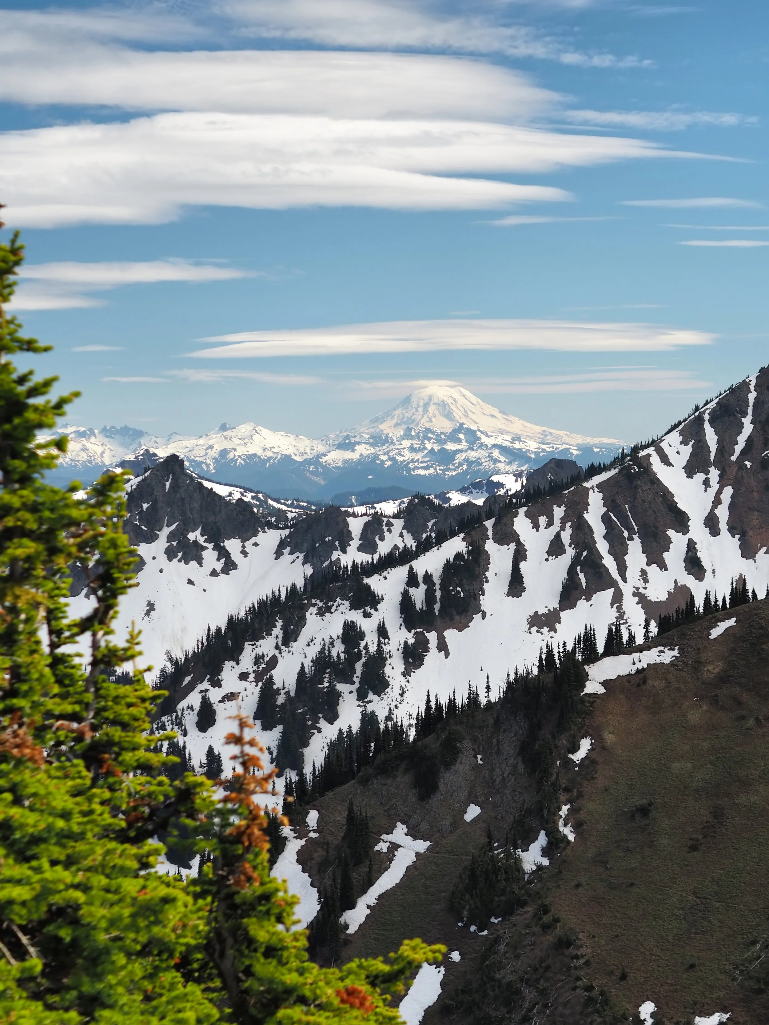 Snow-capped mountains with a prominent volcano in the background under a cloudy blue sky. Green trees and some reddish-green foliage are in the foreground.