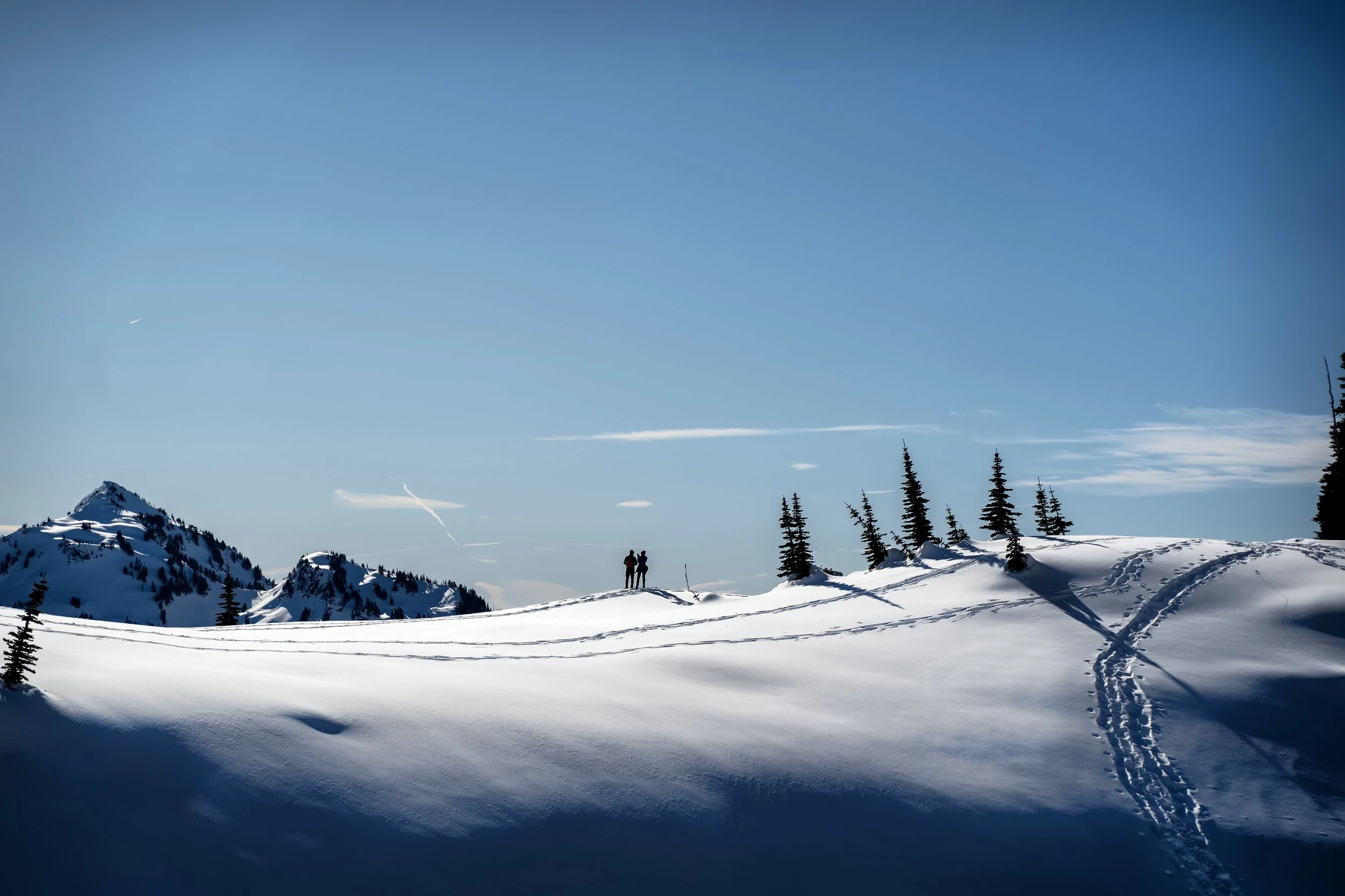 Two people standing on a snow-covered landscape, surrounded by pine trees and mountains, under a clear blue sky.