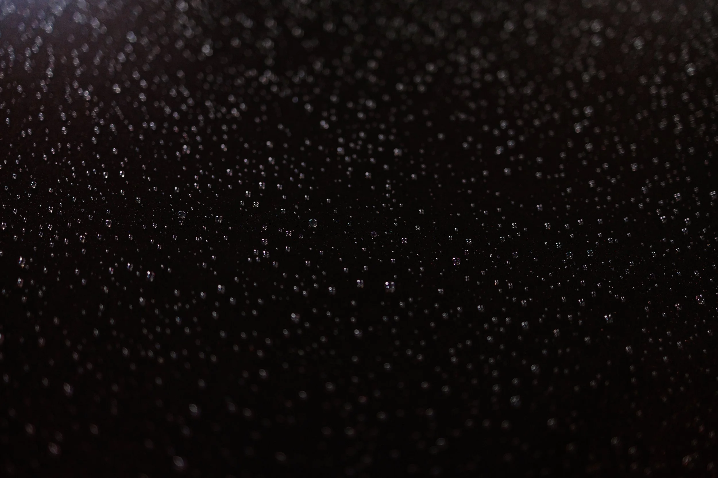 Photos Final-256.jpg