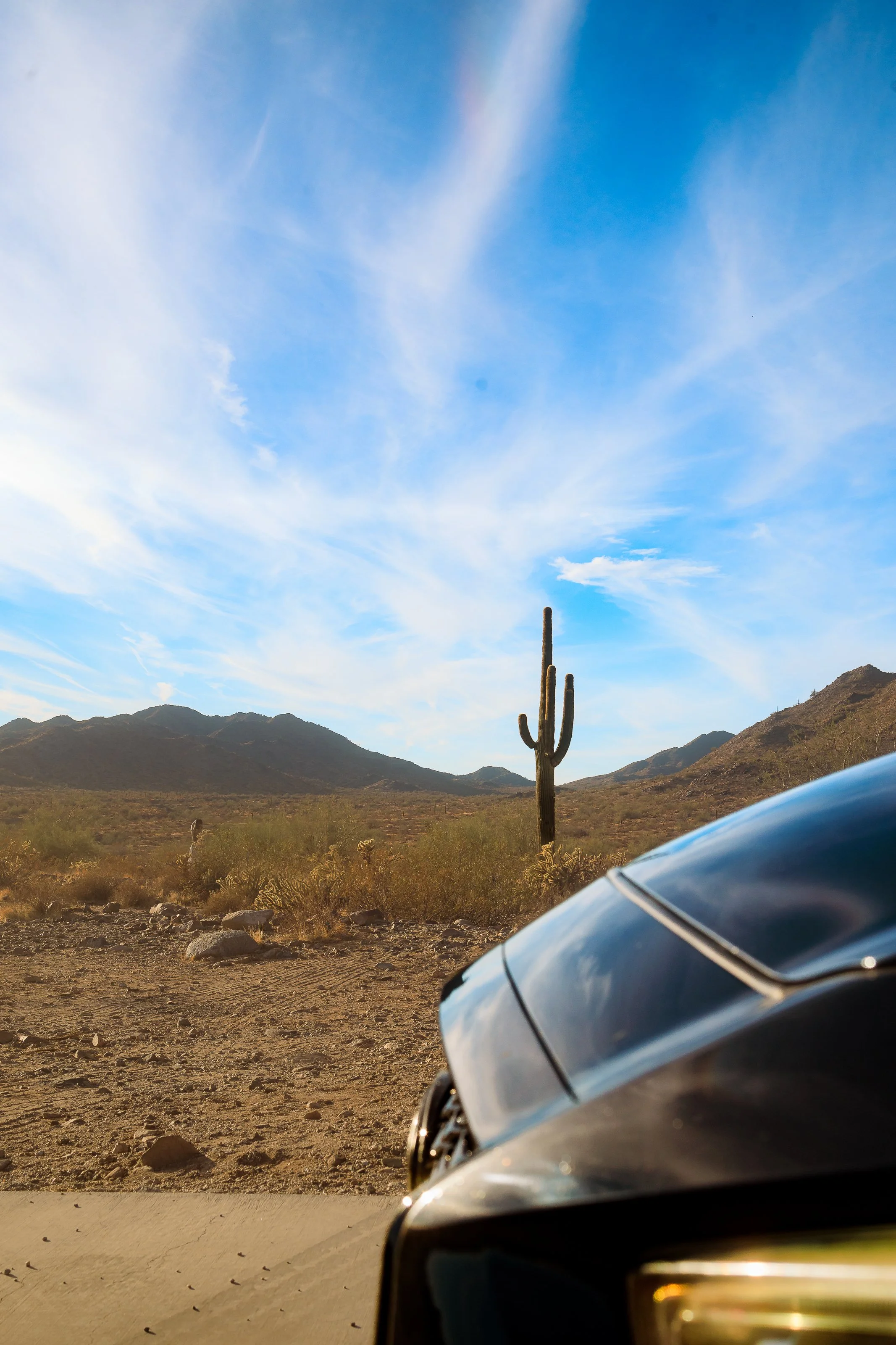 Photos Final-125.jpg