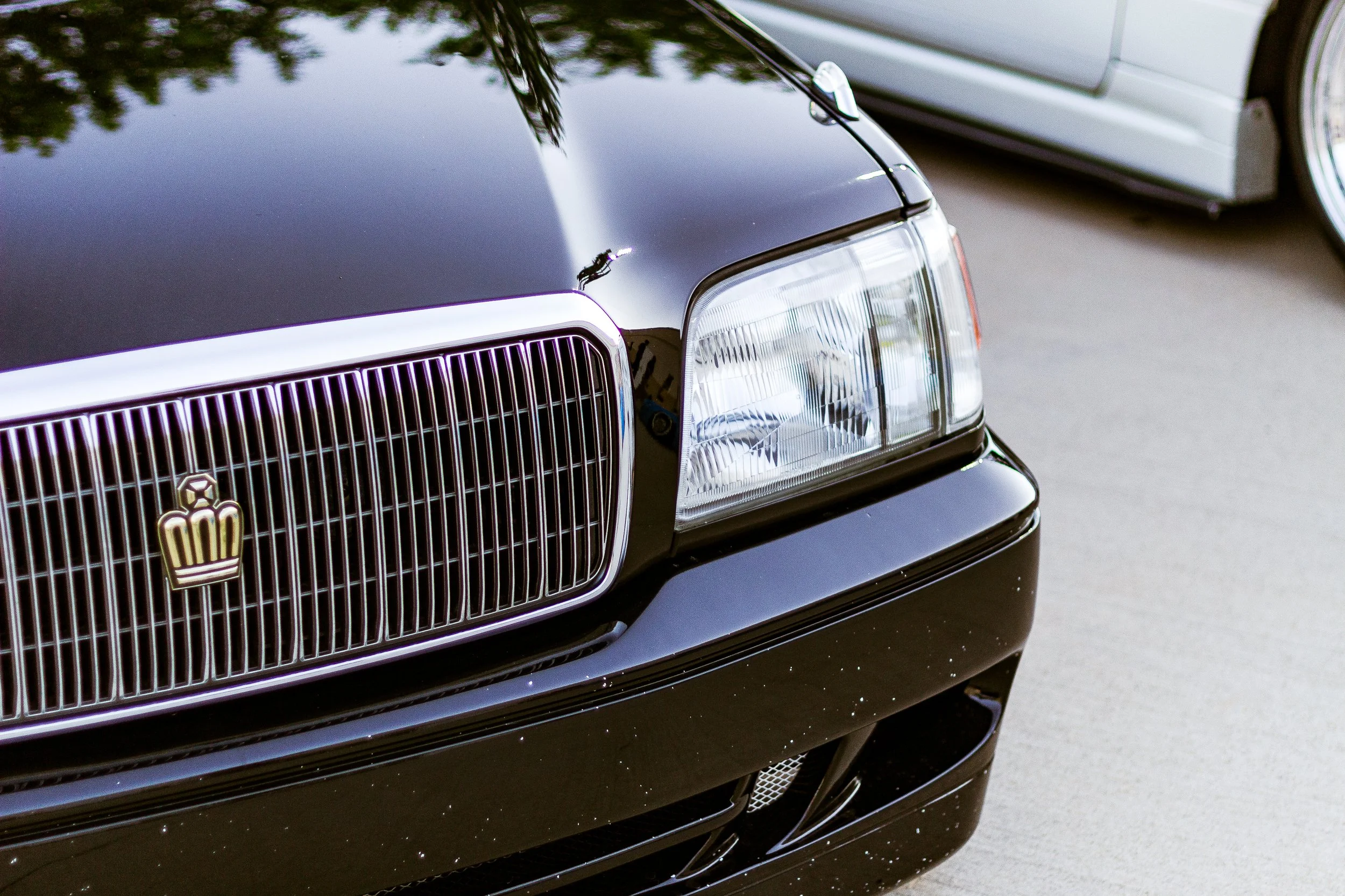 CaliCreaming (5.18.2024)-131.jpg