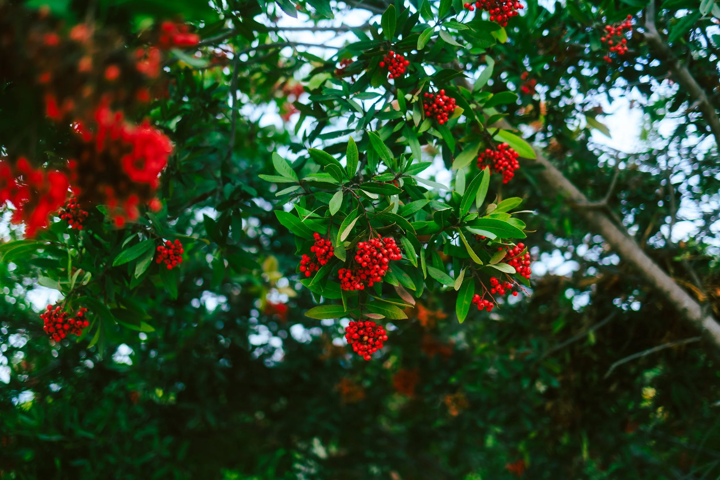 Photos Final-788.jpg