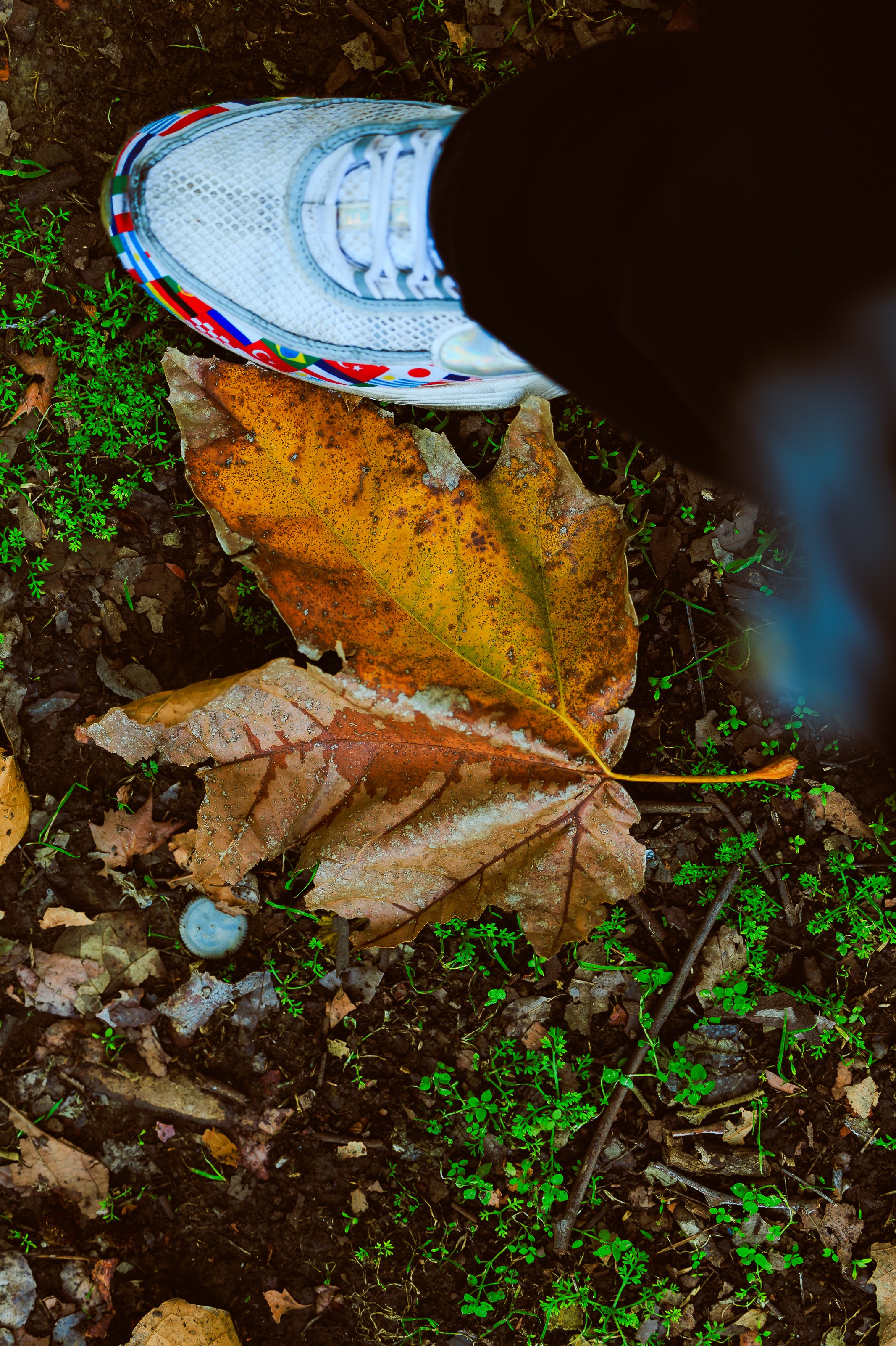 Photos Final-628.jpg