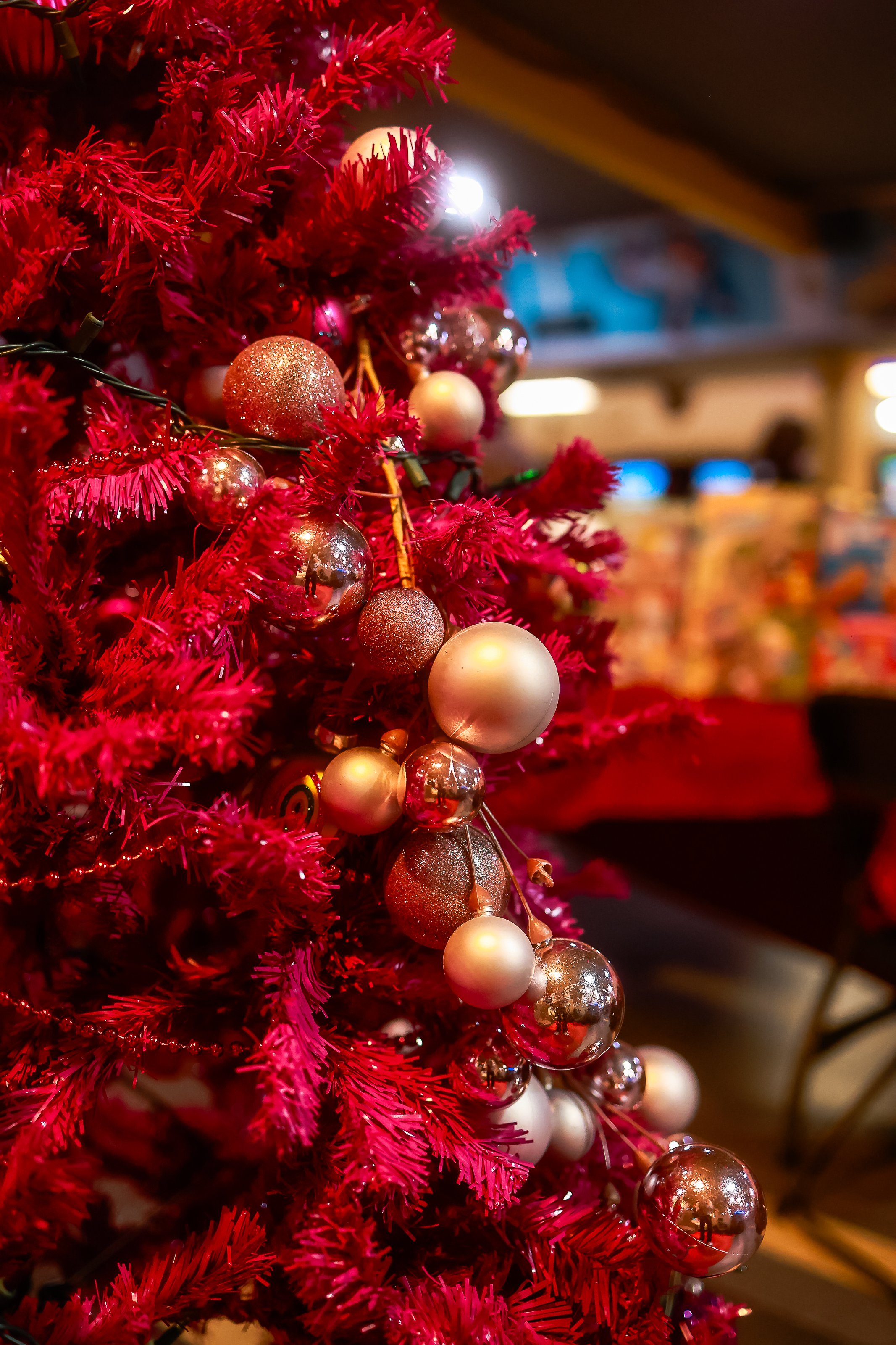 Photos Final-1001.jpg