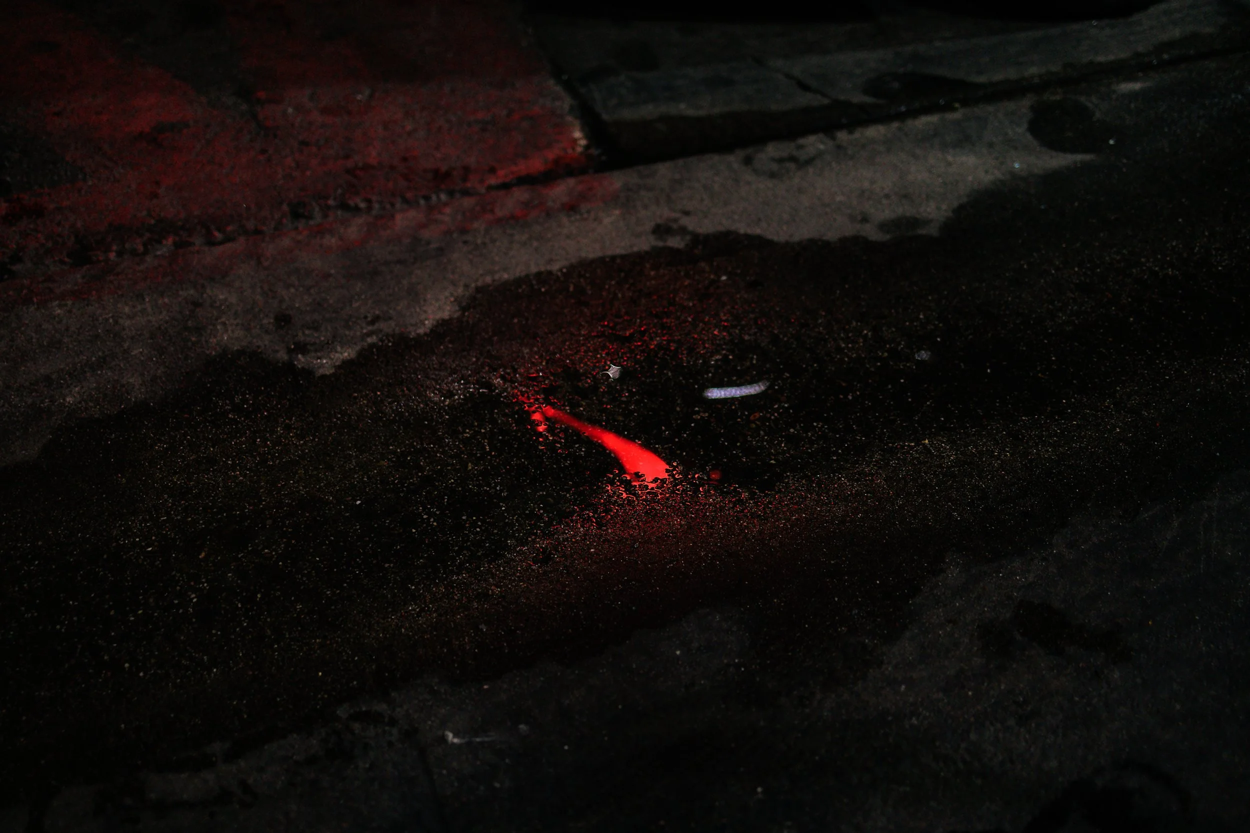 Photos Final-1141.jpg