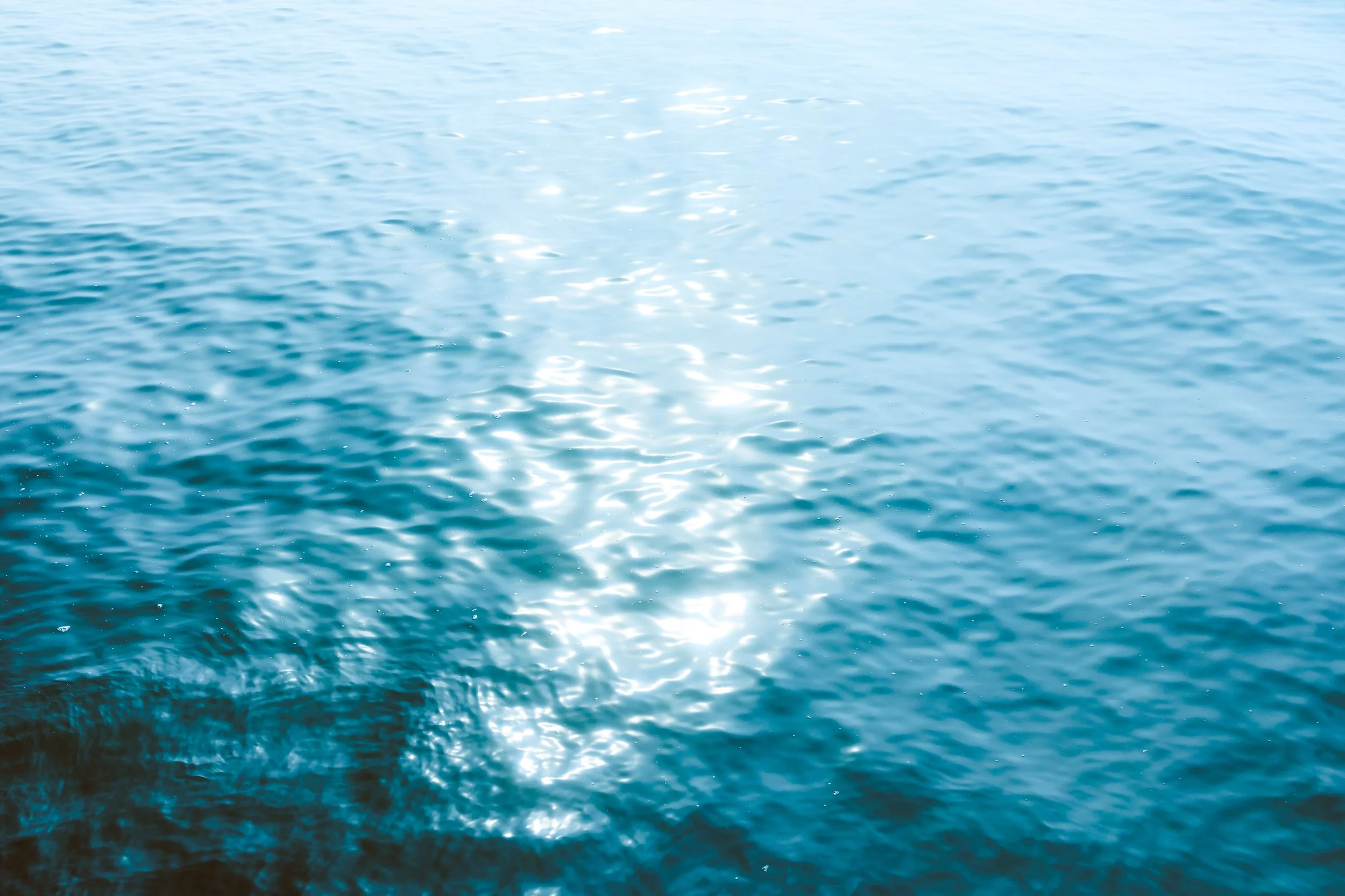 Photos Final-638.jpg