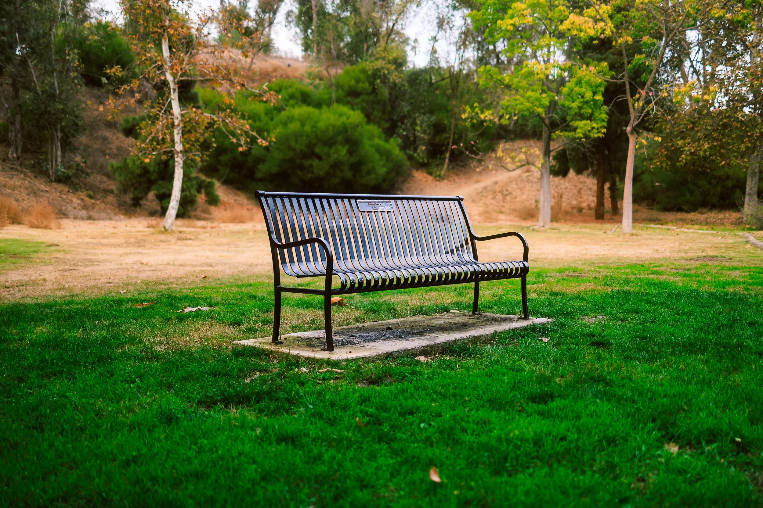 Photos Final-795.jpg