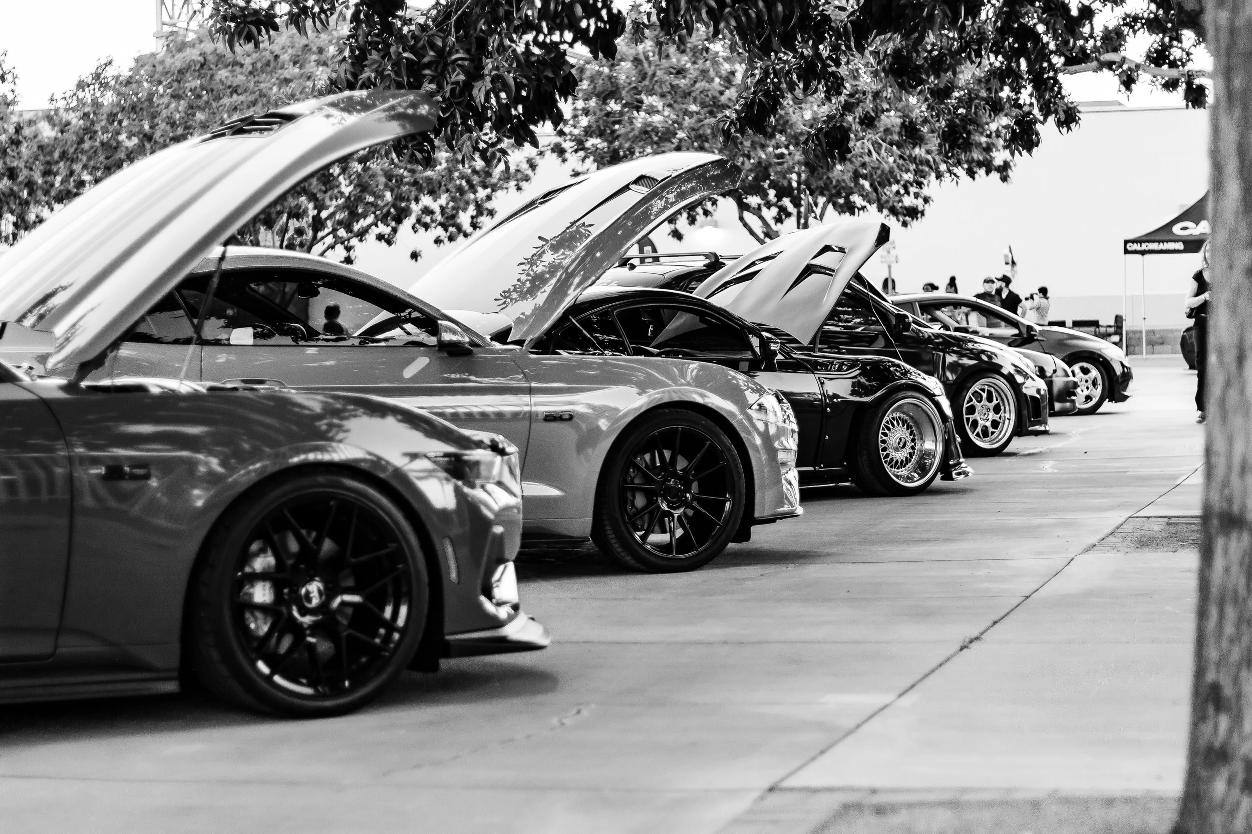 CaliCreaming (5.18.2024)-136.jpg